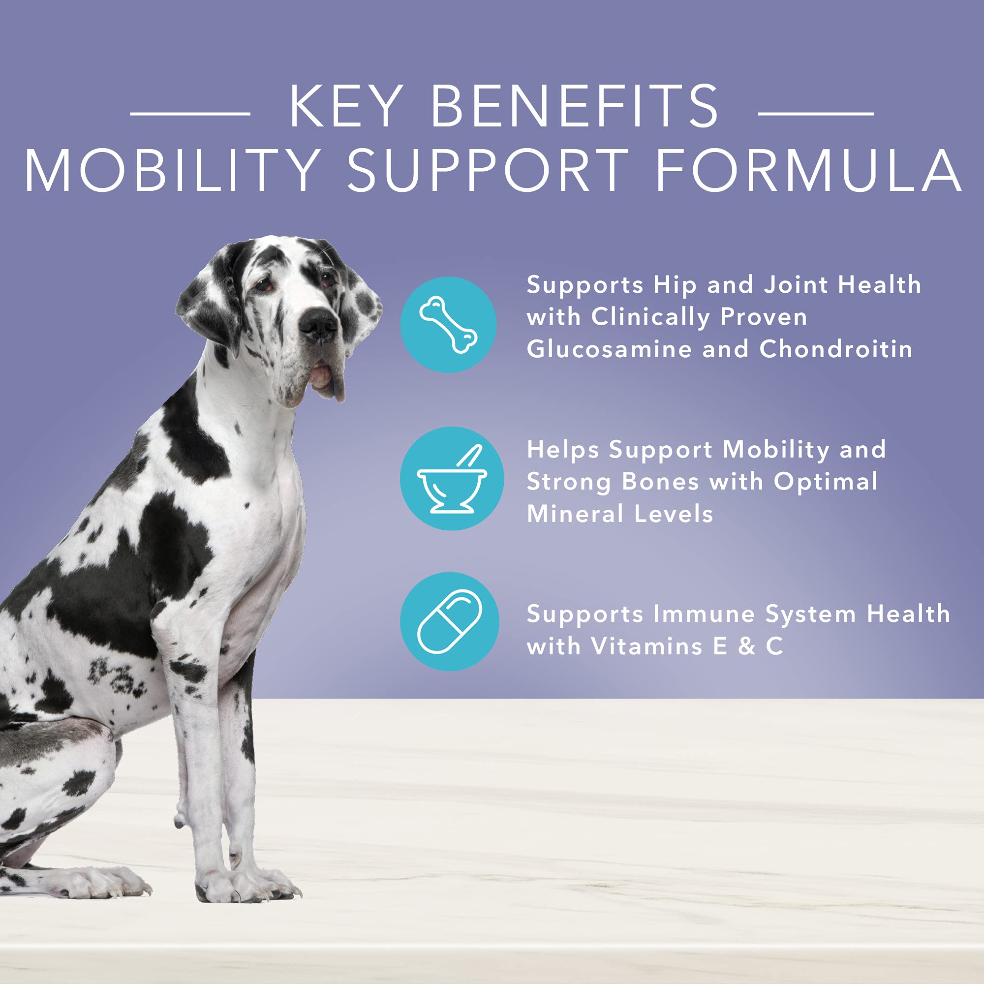 Blue Buffalo True Solutions Mobility Care Wet Dog Food for Adult Dogs, Made with Natural Ingredients, Chicken, 12.5-oz. cans (12