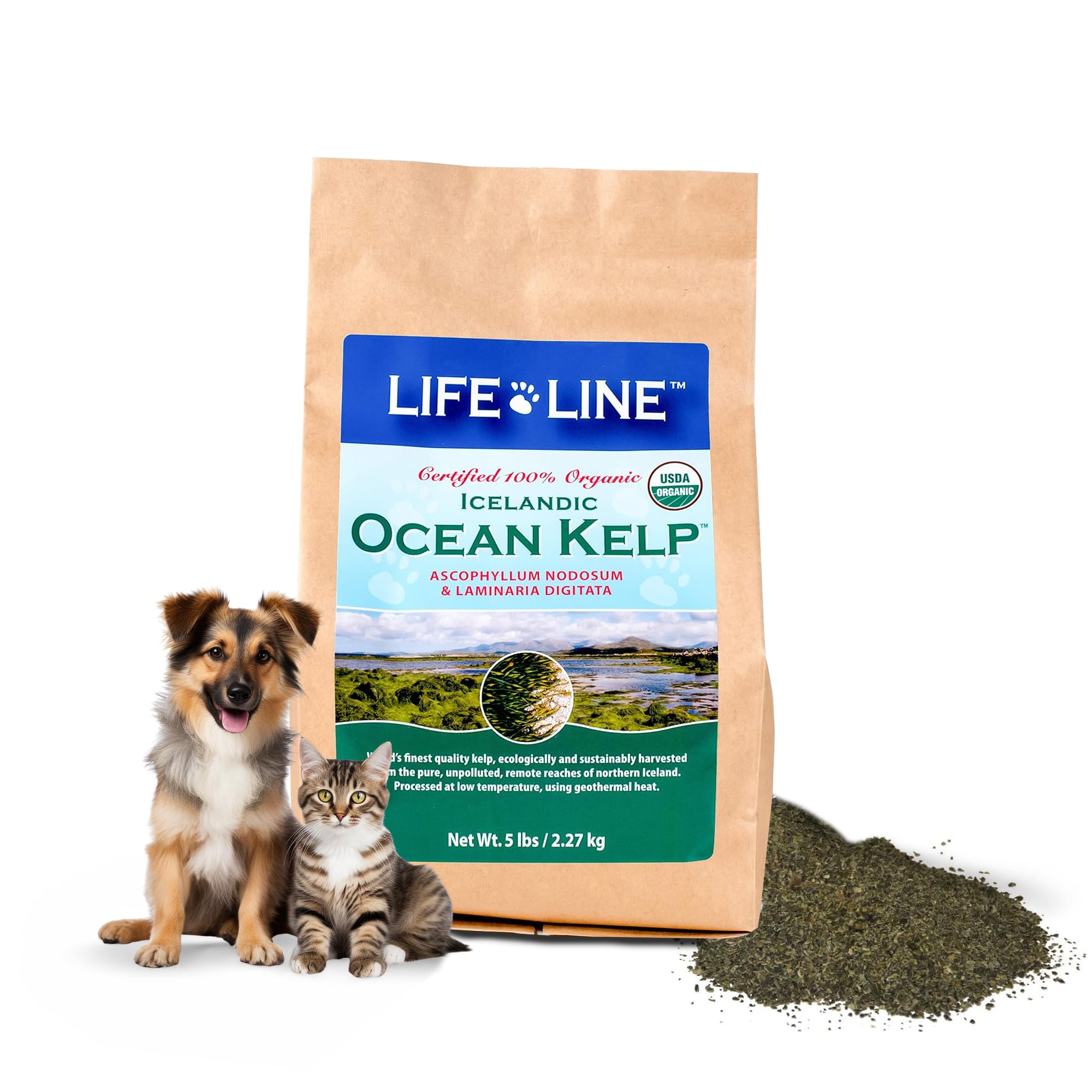 Organic Ocean KELP 5 LB