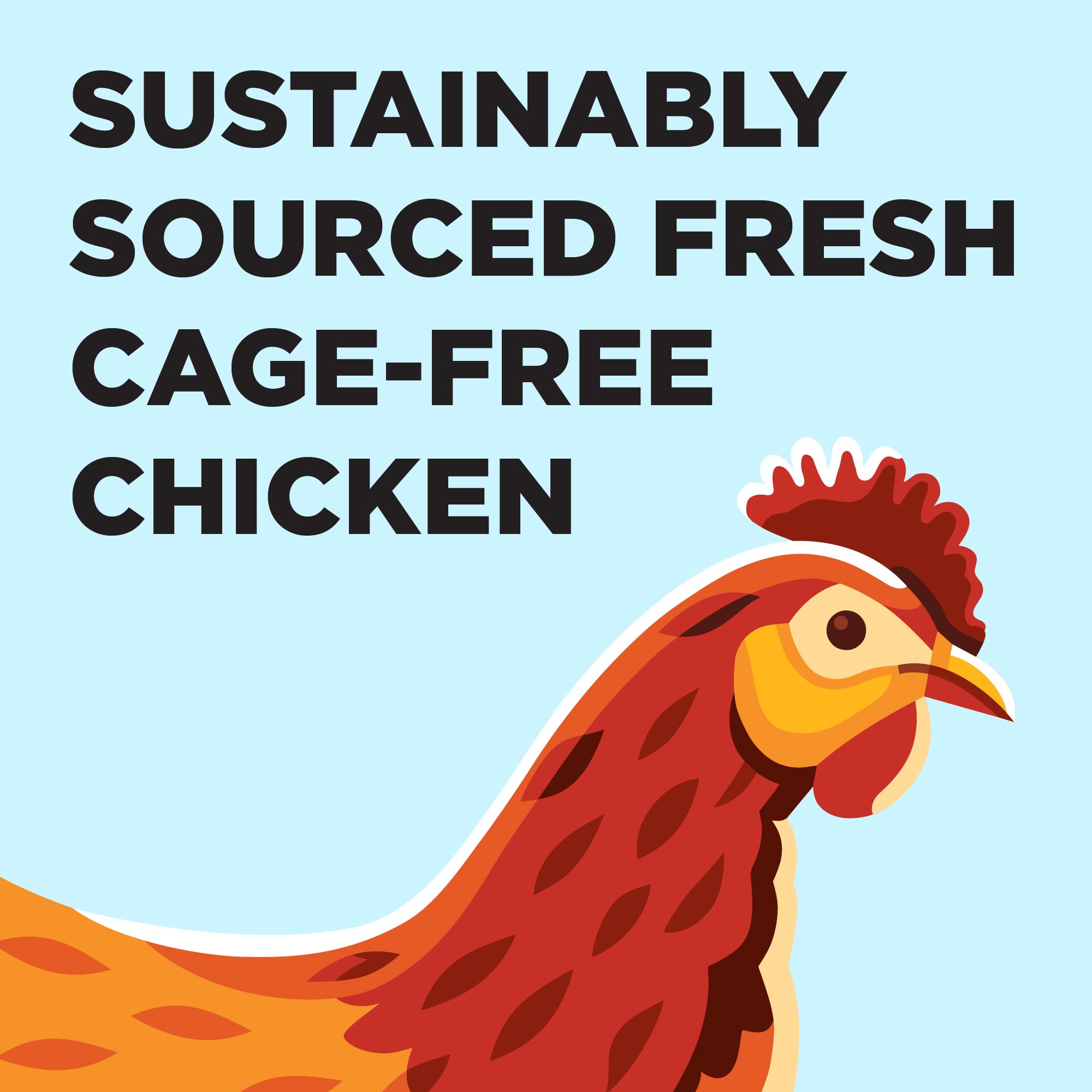 Liberty Dry Food Chicken Recipe for Cats, 10lb