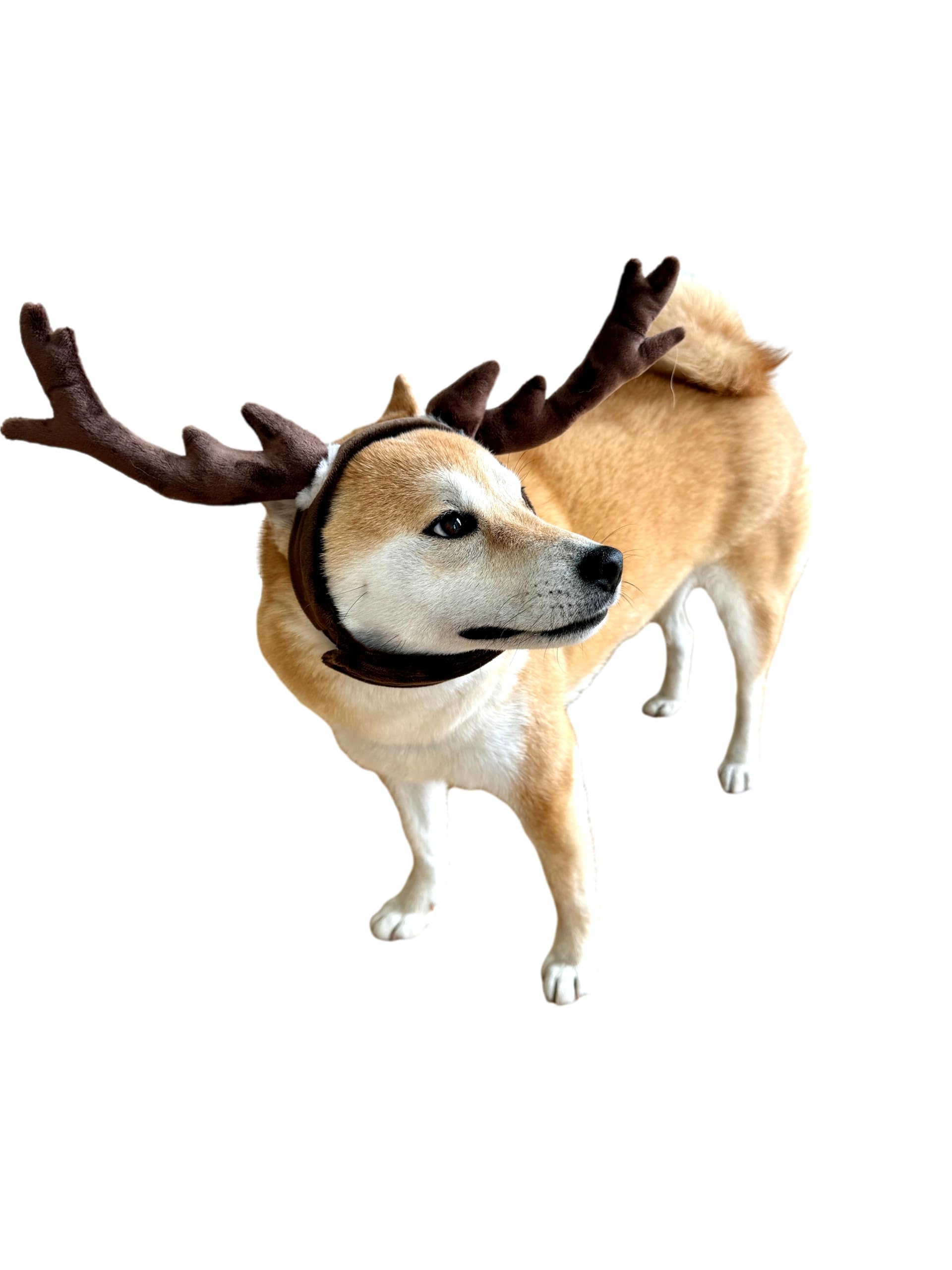 Comfycamper Reindeer Dog Headpiece - Elk Deer Antlers X Large Xxl Animal Cosplay Halloween Costumes Christmas, M