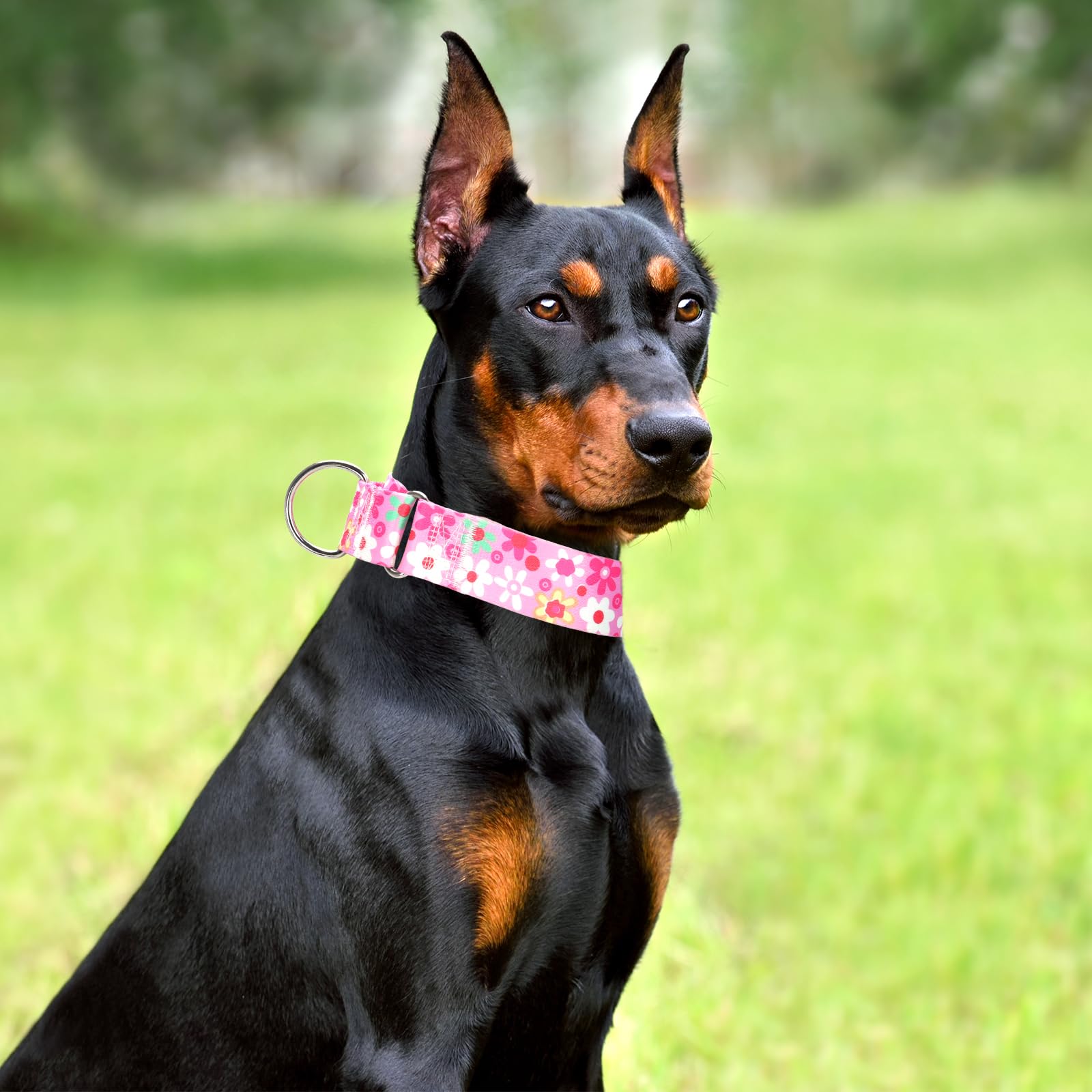 Maowuwujoz 1.5 Inch Wide Martingale Dog Collar - No Pull Choke Cinch Escape Proof Training For Large Dogs, Soft Nylon Durable Co