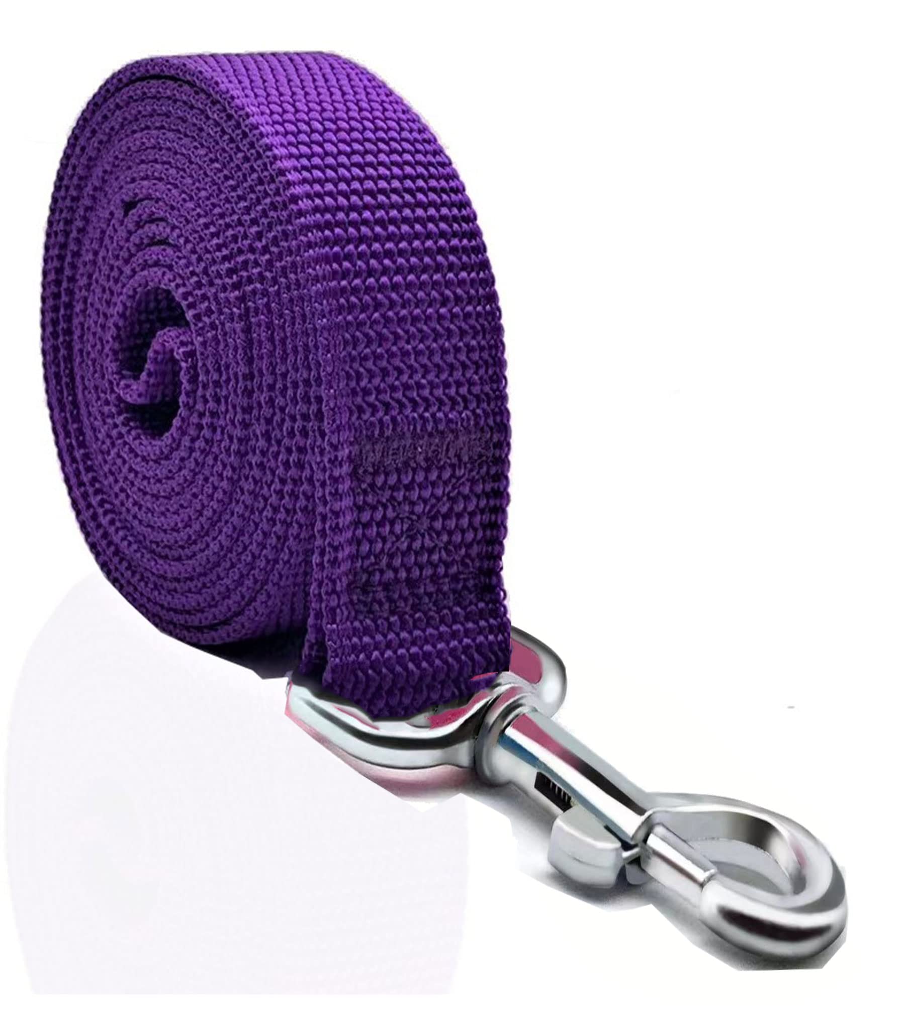 Nylon Dog Leash 8 Feet Long, Walking Training Dog Leashes For Medium Large Dogs(1'' X 8 Ft, Purple)