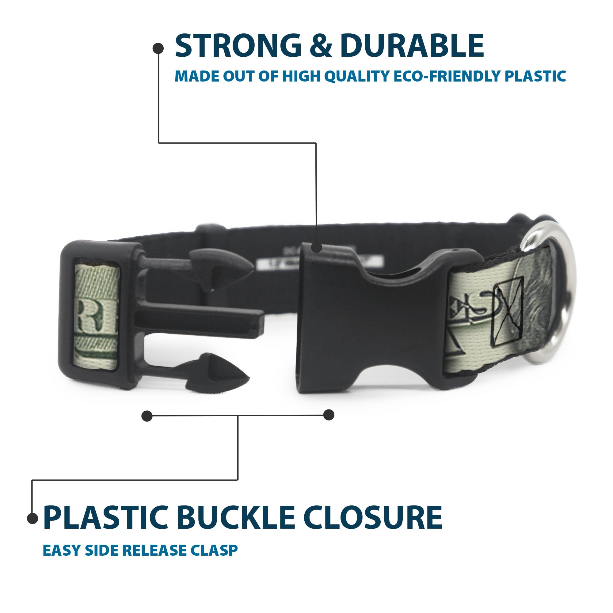 Buckle-Down 100 Dollar Bill C/U/Triple Benjamin Plastic Clip Collar, 1'' X 11-17''/Medium