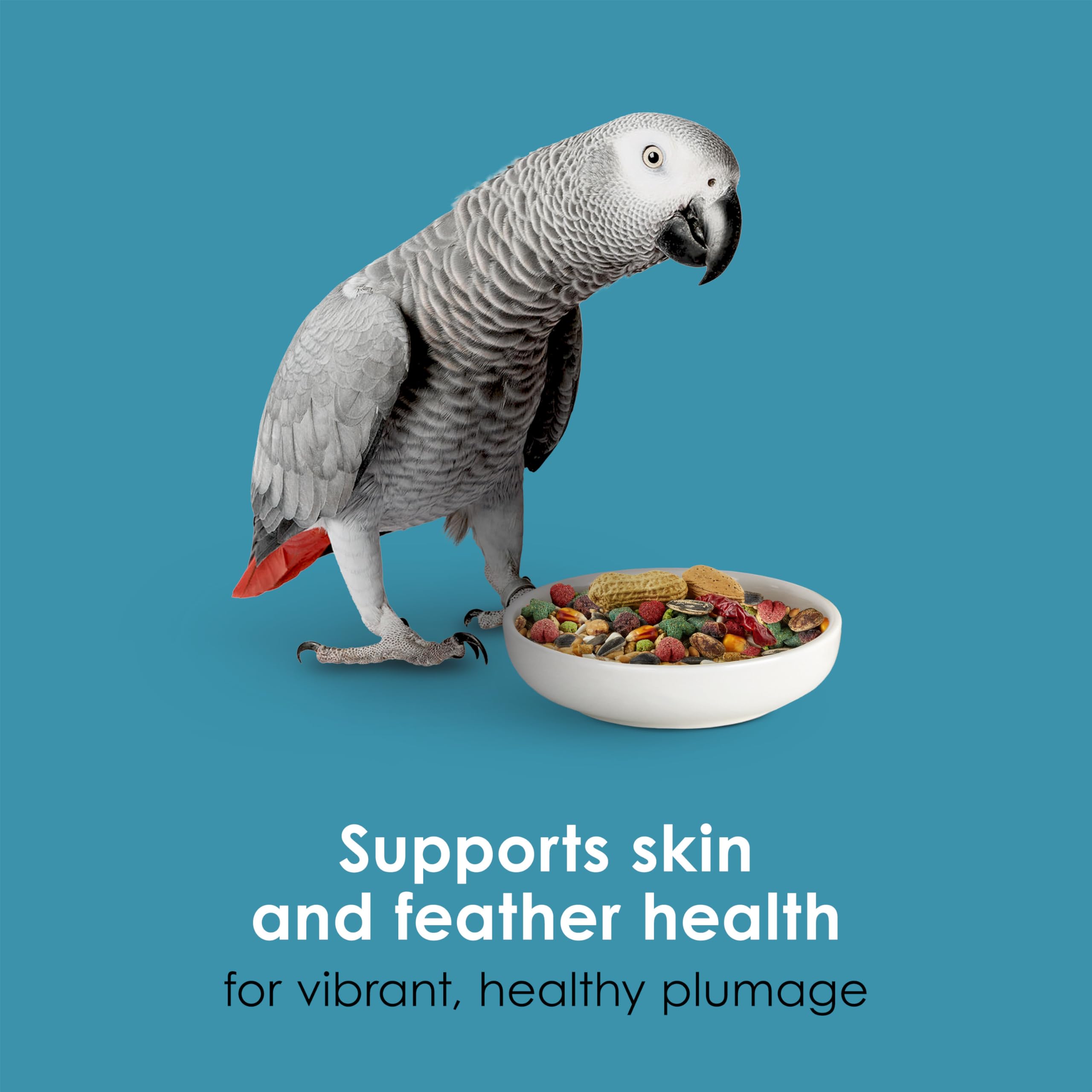 Kaytee Forti-Diet Pro Health Feather Health Parrot Food 5lb