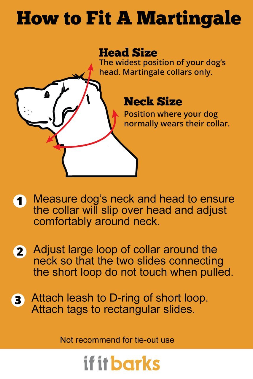 If It Barks 1 Martingale Collar With Quick Snap Release Buckle, Adjustable, Usa Made, Small, Blueberry