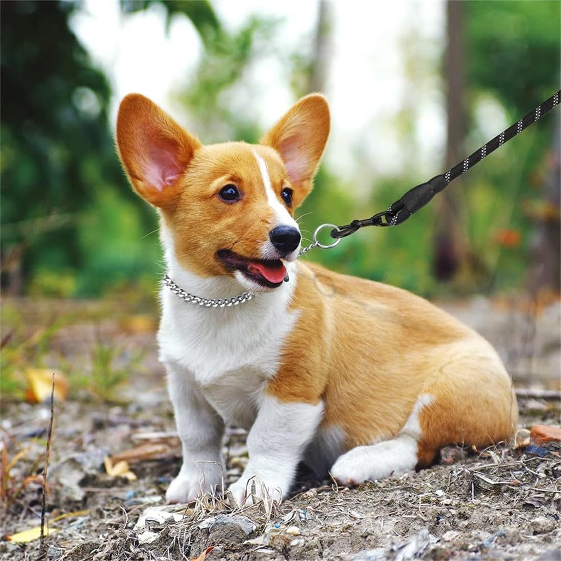 Silver Dog Choke Collars,Metal Slip Link Puppy Dog Chain Martingale Collar Heavy Duty Training Choker Collar Boy Girl For Xs Sma