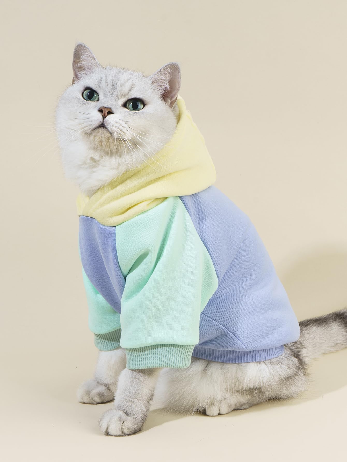 Qwinee Basic Dog & Cat Hoodie - Yellow & Blue X-Large & Medium Warm Jacket, Cat Apparel, Dog Shirt & Clothes For Puppy & Kitten