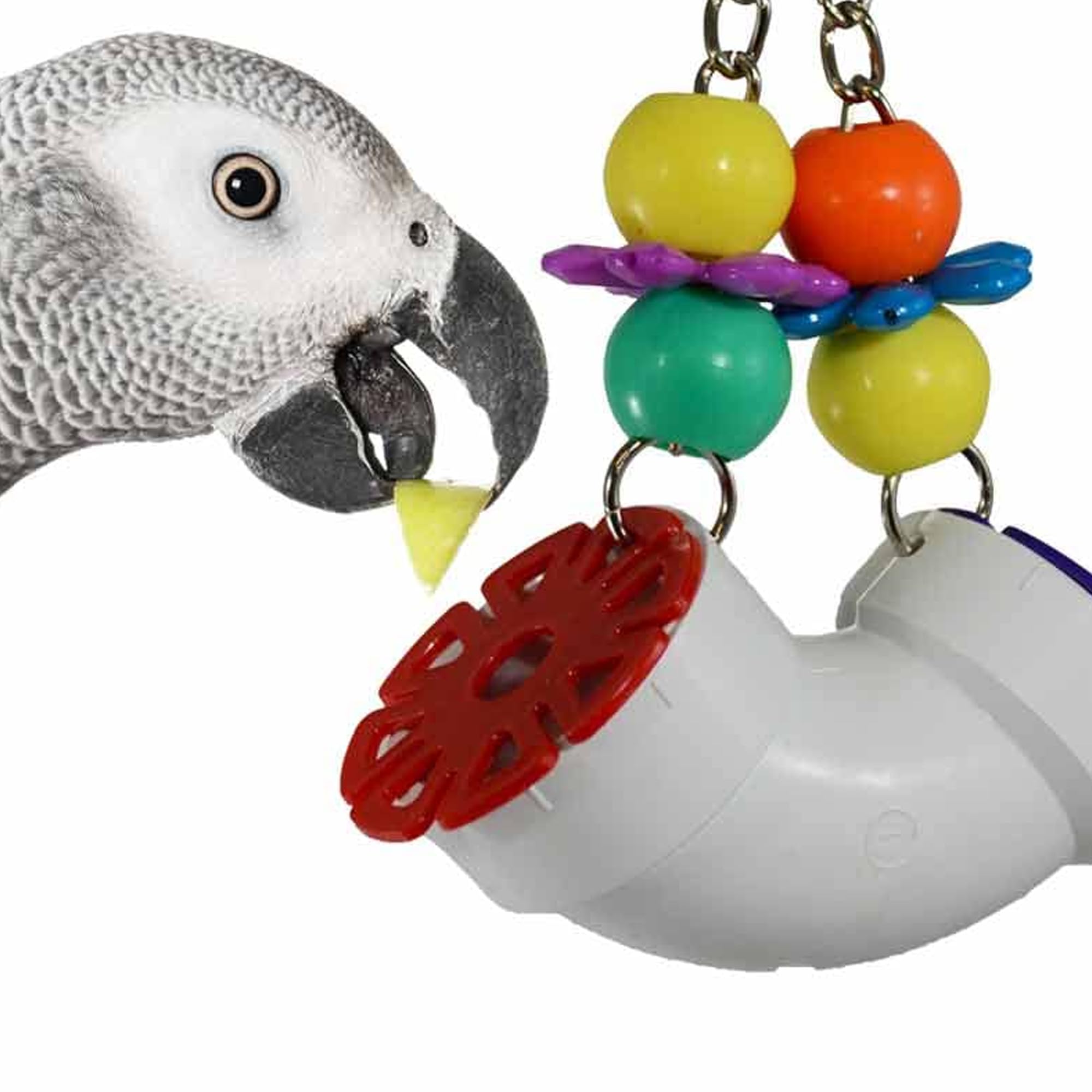 Super Bird Creations SB751 PVC Forager Bird Toy, Medium/Large Bird Size, 3? x 5? x 8?