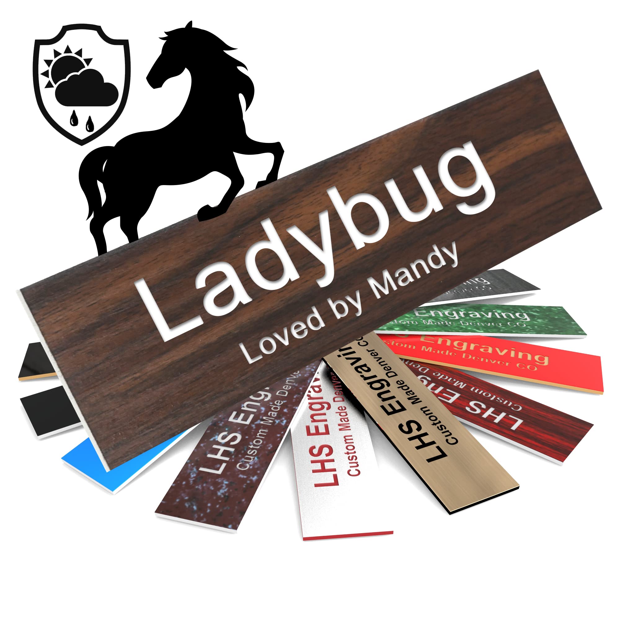 Lhs | Horse Stall Name Plate, 2X12 Personalized Stall Signs, Uv Protected, All Weather Adhesive, Hanging, Mounting Or Other, Tea