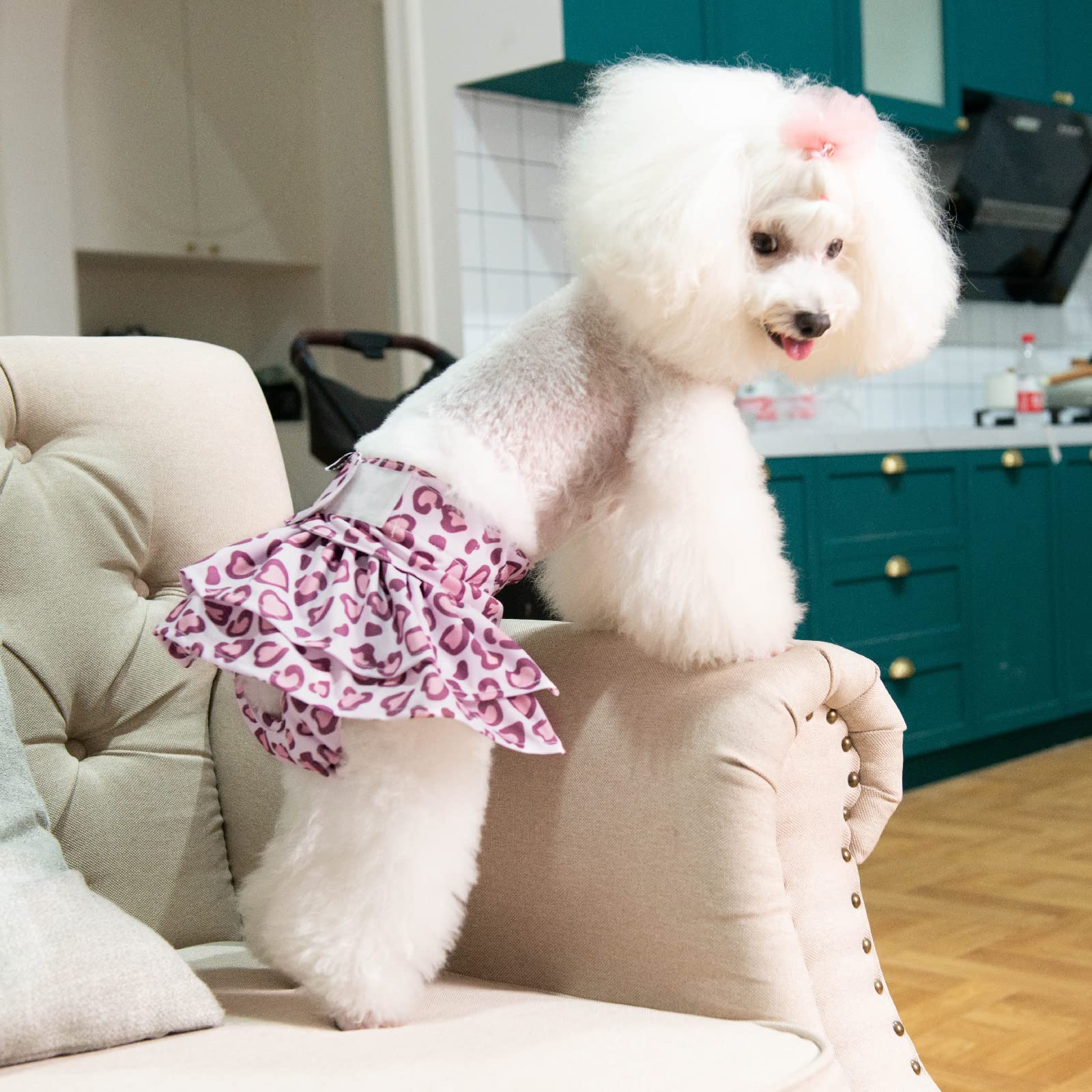 Cutebone Female Dog Diapers With Skirts 3 Pack Reusable Puppy Dresses Pants For Heat Cycle Period Qbd07S
