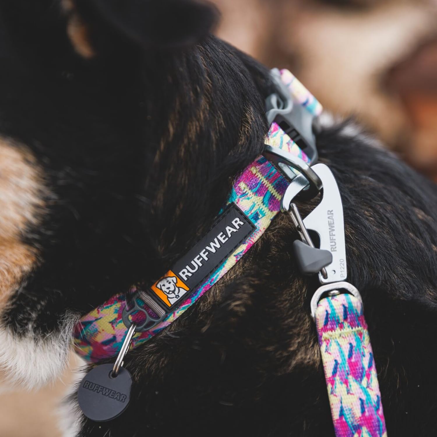Ruffwear, Front Range Dog Collar, Durable And Comfortable Collar For Everyday Use, Wildflower, 14''-20''