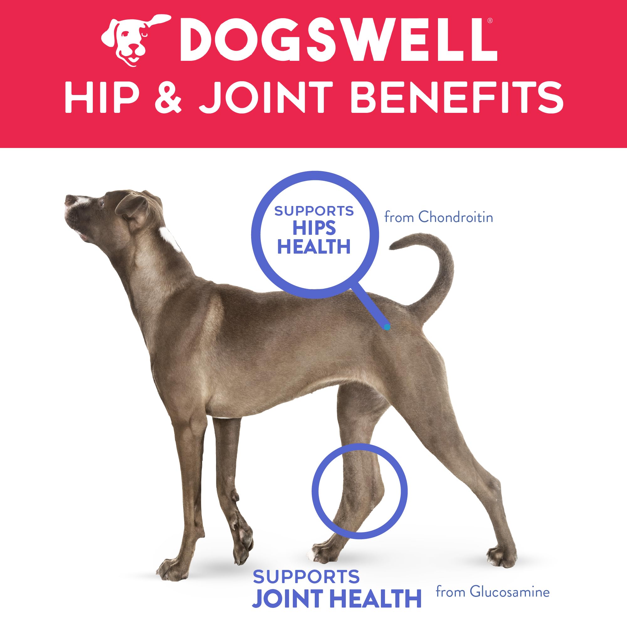 DOGSWELL Hip & Joint Slices Functional Dog Treats, Beef 8 oz. Bag