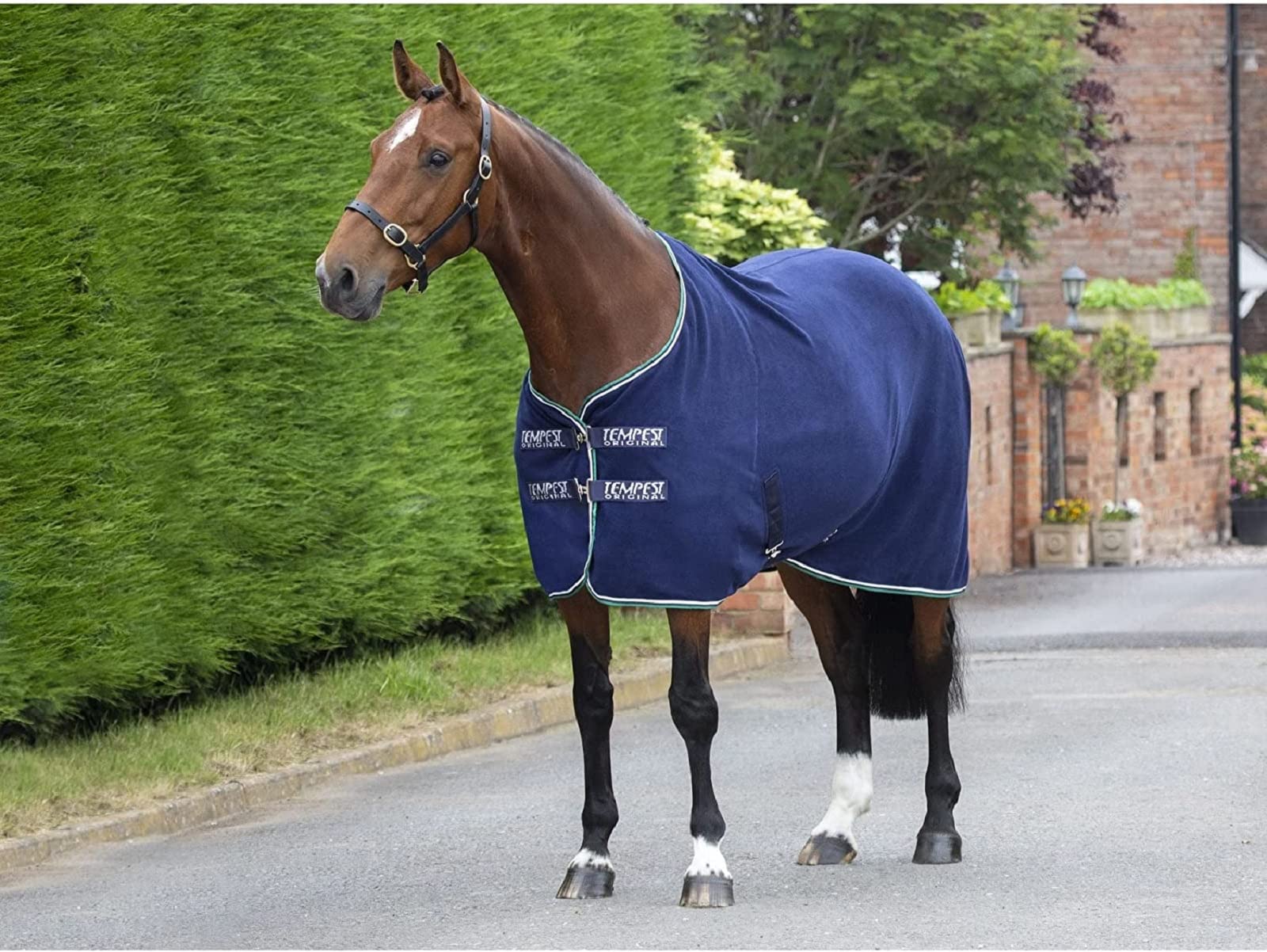 Tempest Fleece Rug (72', Ink)