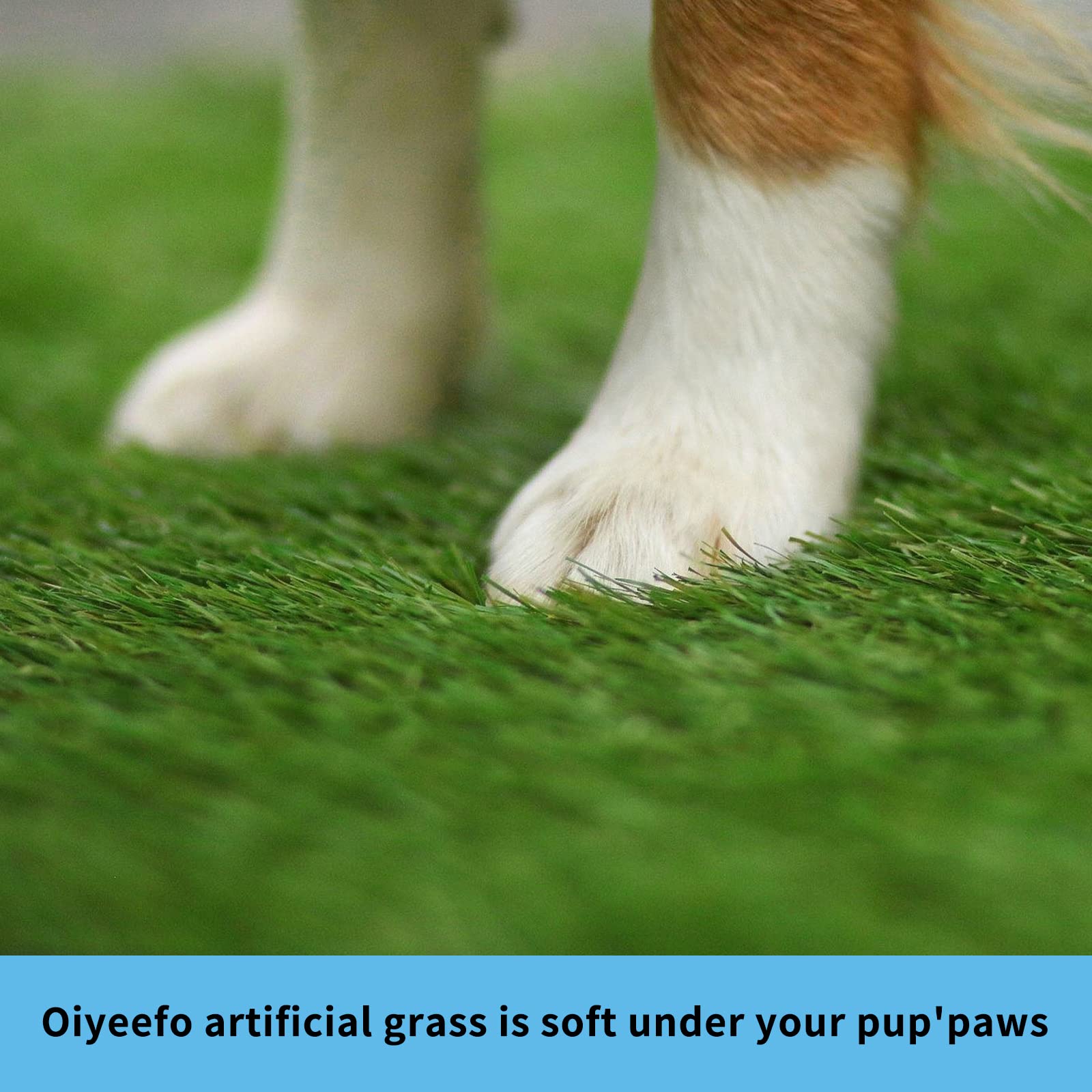 Oiyeefo Dog Grass Pad With Tray,35.5    X 23.6    Indoor Dog Potty System 2 Pics Replacement Artificial Grass Mats-5 Pics Dispos