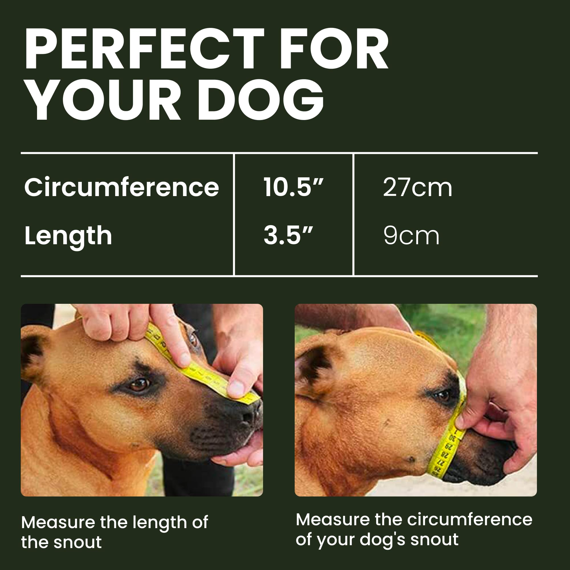 Bronzedog Dog Muzzle Adjustable Durable Metal Wire Basket For Large And Extra Large Dogs With Leather Straps Breathable, Drinkable, Training, Prevents Biting (Stainless Steel, Husky & Doberman)