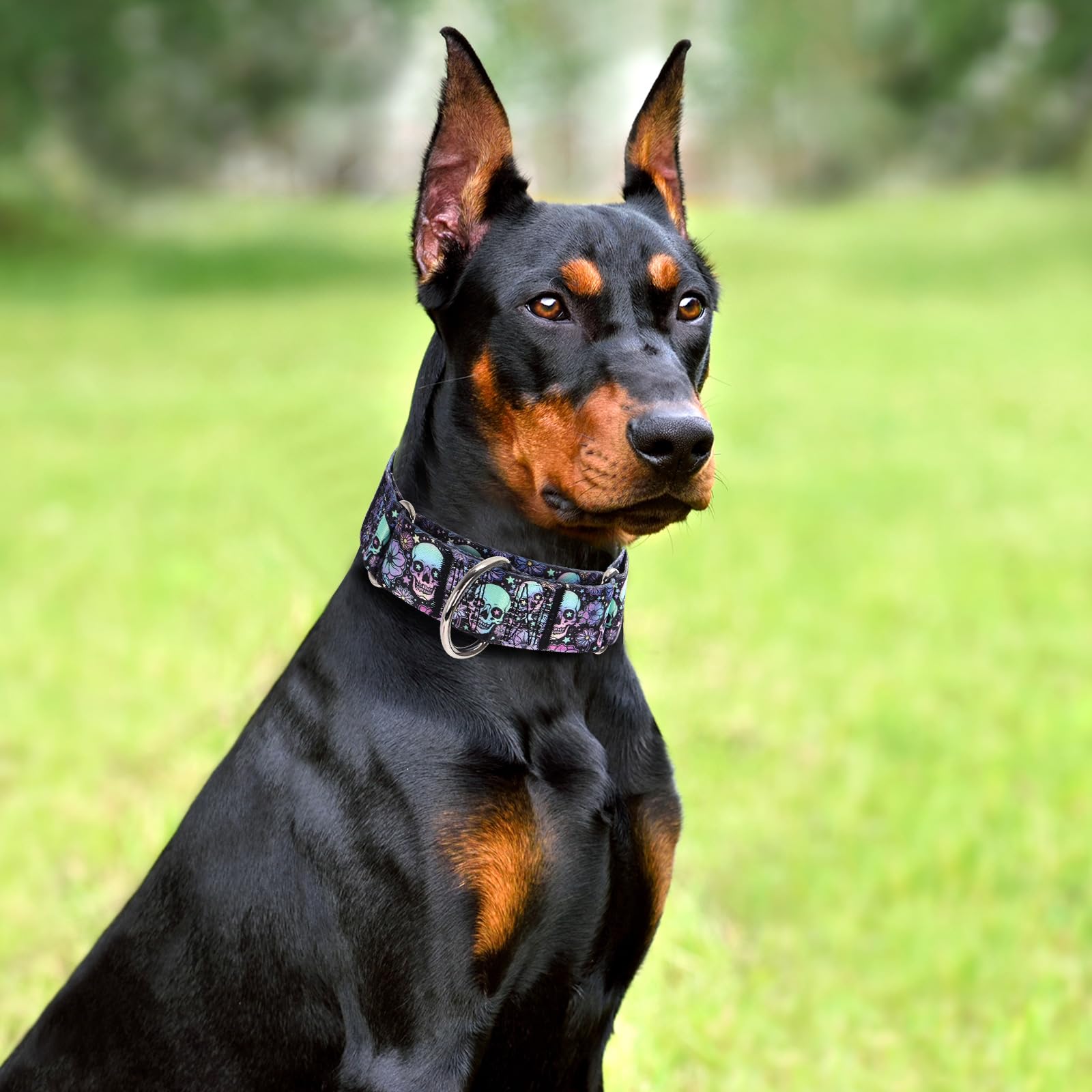 1.5 Inch Skulls Martingale Collar For Dogs, Wide,Big&Thick Dog Collar,Heavy-Duty Training Collar For Medium Large Extra Large Do