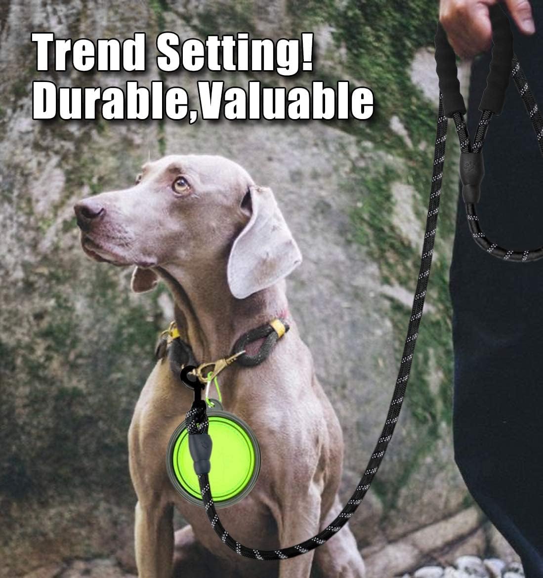 Doyoo 10Ft Thick Durable Nylon Dog Rope - Comfortable Padded Handle Reflective Rope Leash For Medium Large Dogs With Collapsible