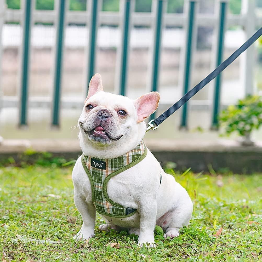 Pupteck Soft Mesh Dog Harness And Leash Set Pet Puppy Cat Comfort Padded Vest No Pull Harnesses, Olive Green, L