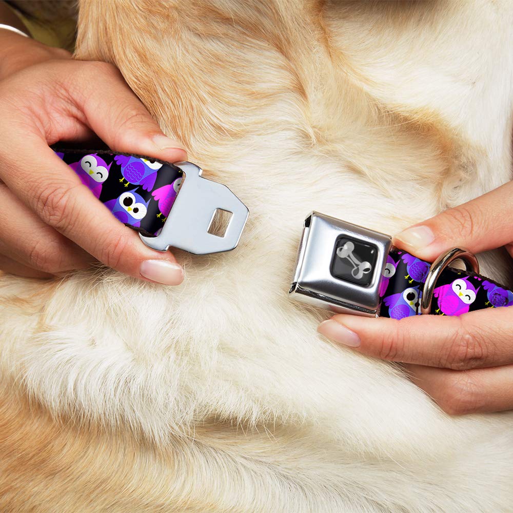 Dog Collar Seatbelt Buckle Owl Eyes Black Purples Pinks 13 to 18 Inches 1.5 Inch Wide