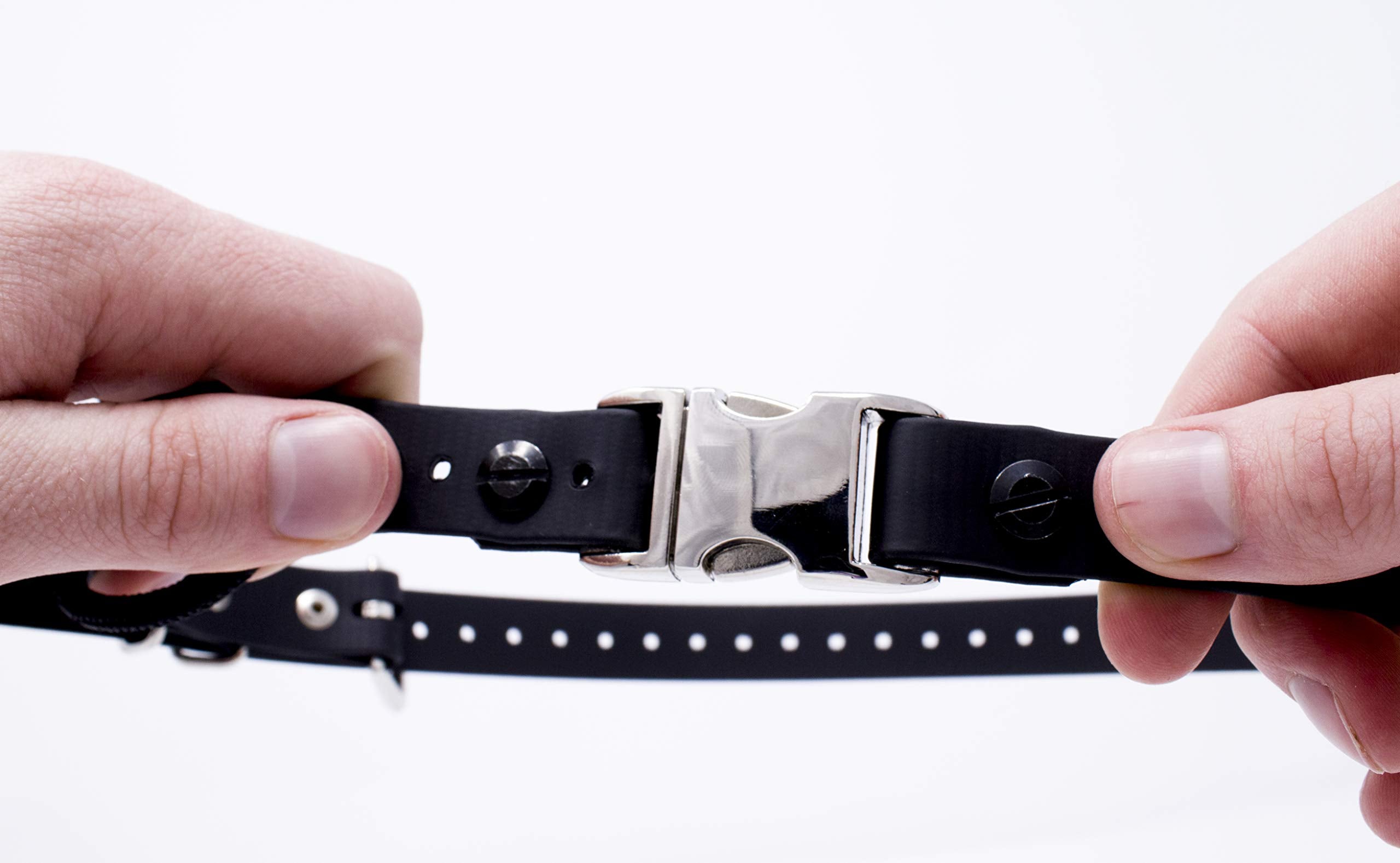 Educator Quick Snap Bungee Dog Collar, Biothane, Waterproof, Odorproof, Easy Connect And Disconnect Clasp And D Ring With Comfort Bungee Loop, Adjustable For Custom Fit, 3/4-Inch, Black