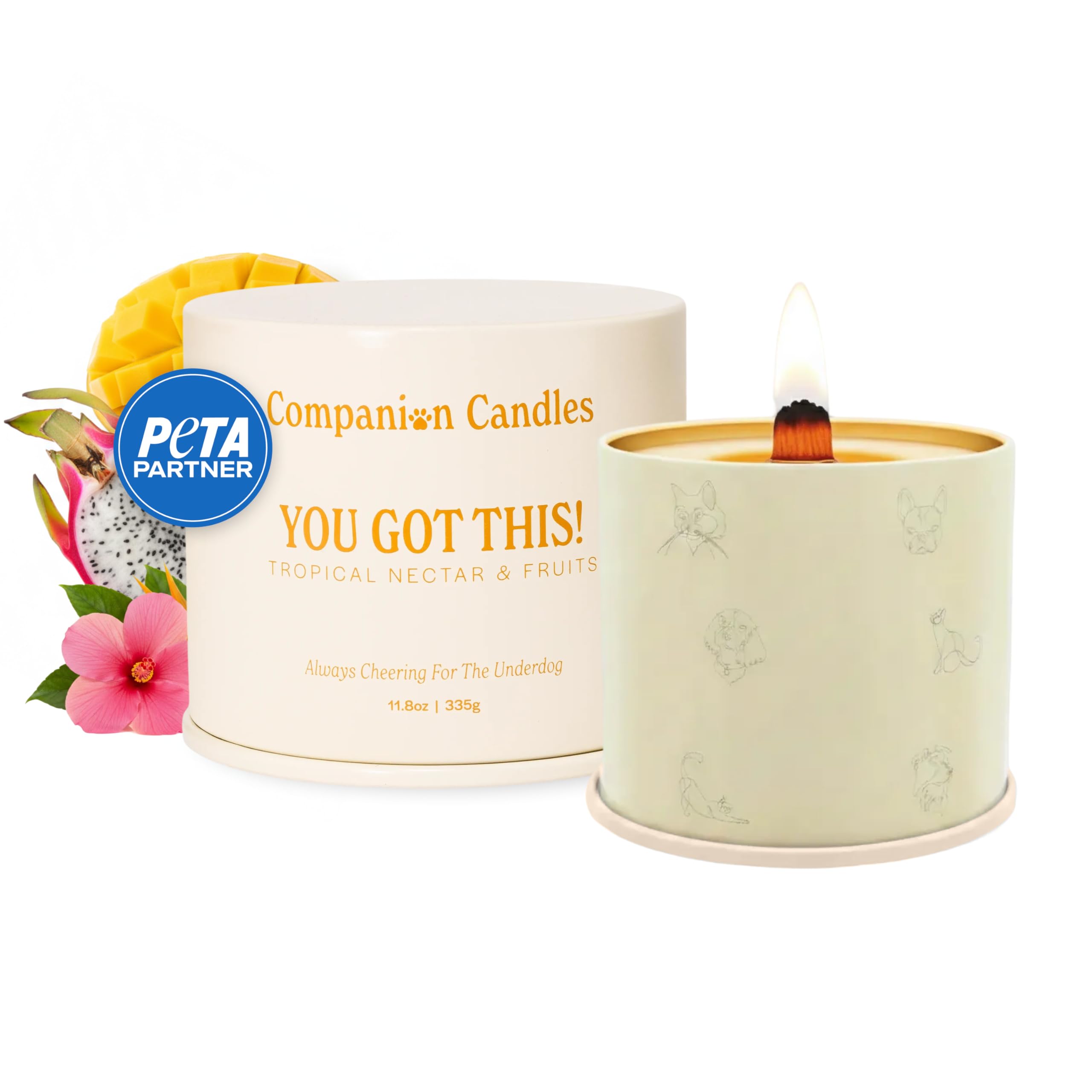 Companion Candles You Got This! Pet-Friendly Scented Candle - Tropical Nectar & Fruits Fragrance - Coconut Soy Wax Candle with W