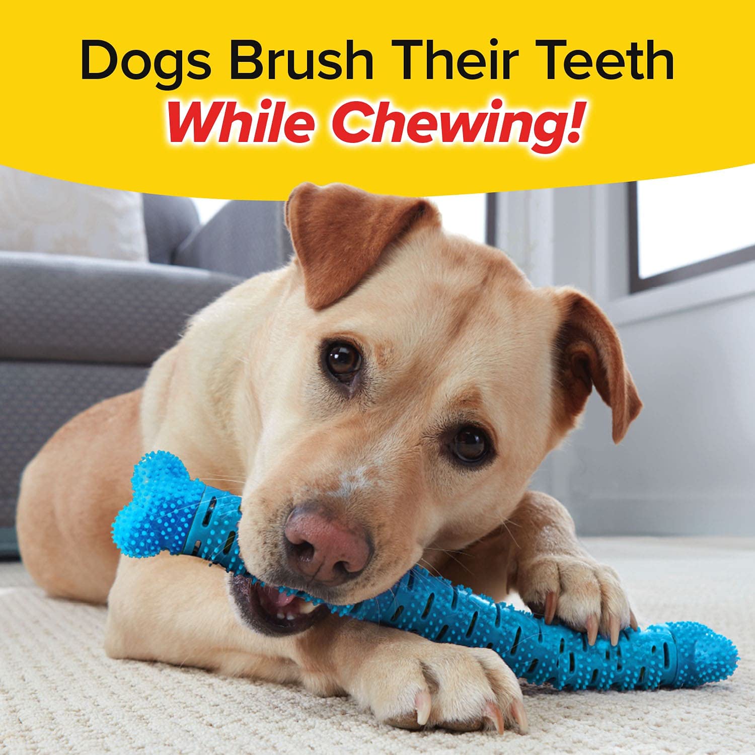 BulbHead Toothbrush, Dogs Chewing, Plaque and Tartar Remover for Teeth, Invented by a Dentist & His Hygienist Wife, 8 in. x 2 in