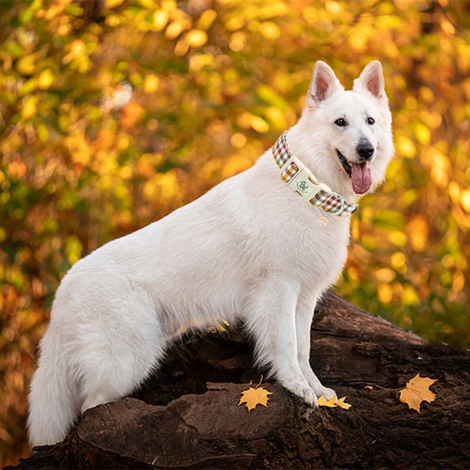Elegant Little Tail Fall Dog Collar, Plaid Puppy Collars Fall Yellow Male Cute Puppy Adjustable Cotton Pet Collar With Quick Rel