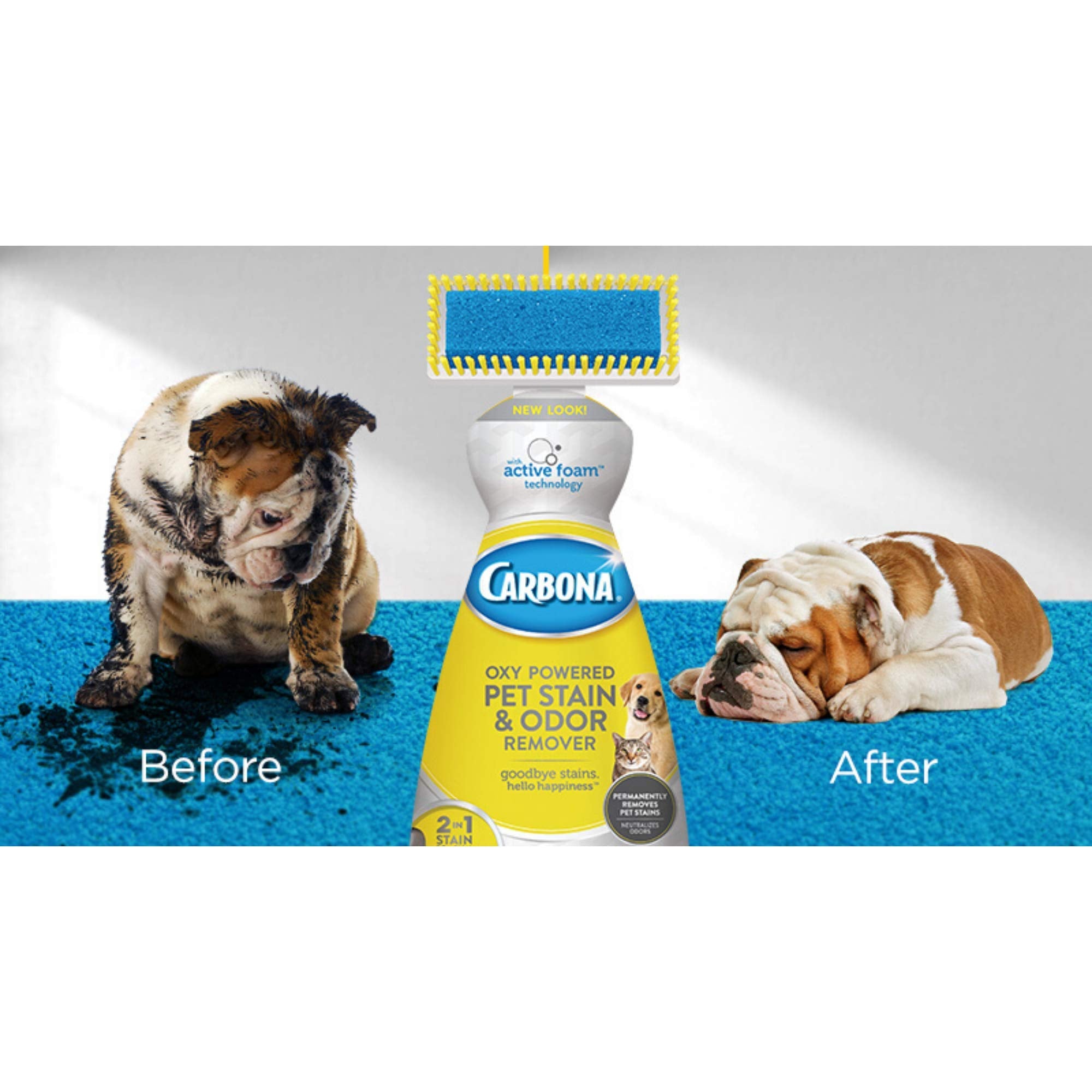 Carbona Oxy-Powered Pet Stain & Odor Remover, 22 Fl Oz, 2 Pack - Active Foam Technology for Effective Cleaning
