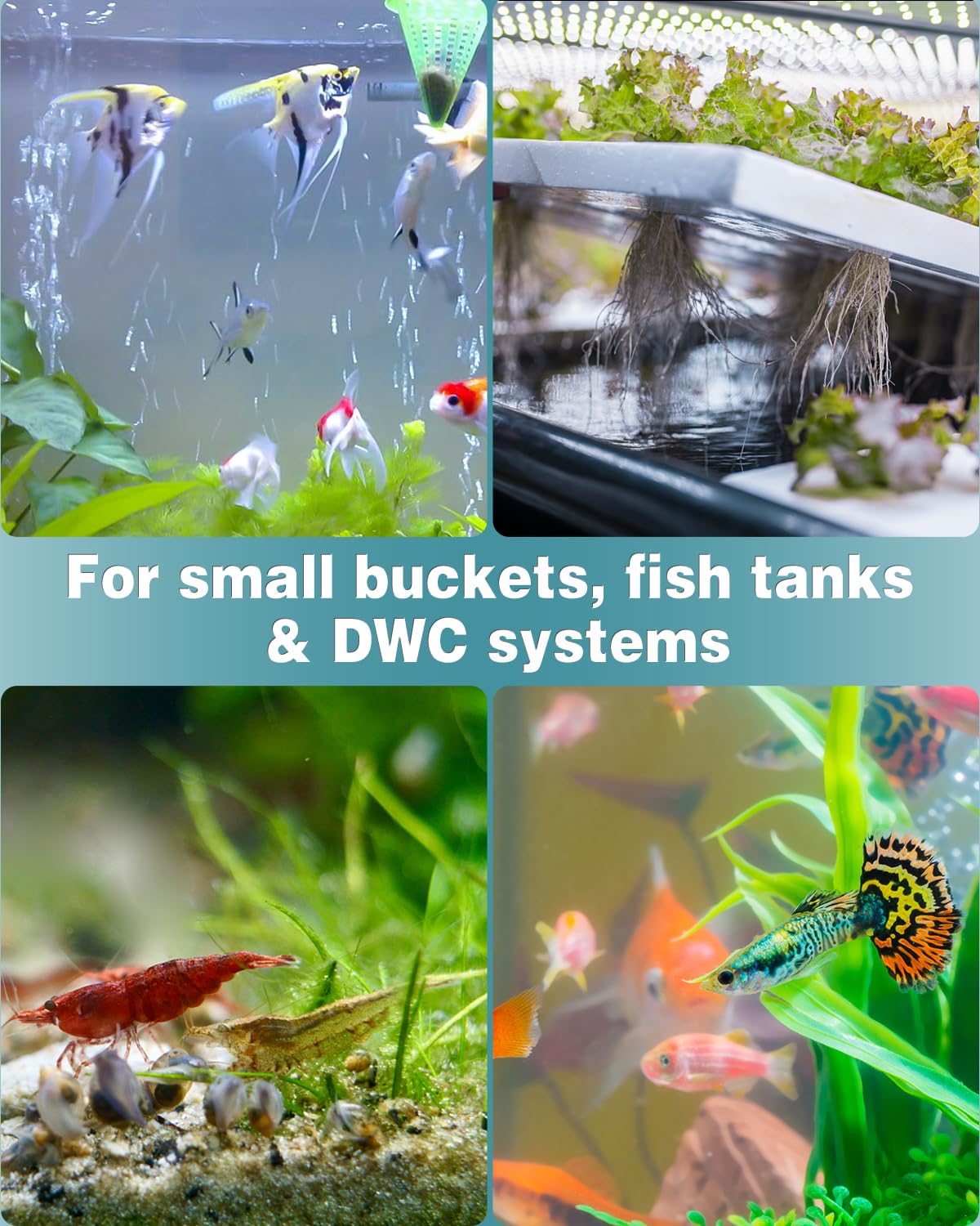 Pawfly 0.8 Inch Air Stone Ball Bubble Diffuser for Nano Air Pumps - 10 Pack, Mineral Material, Ideal for Small Buckets and Fish Tanks
