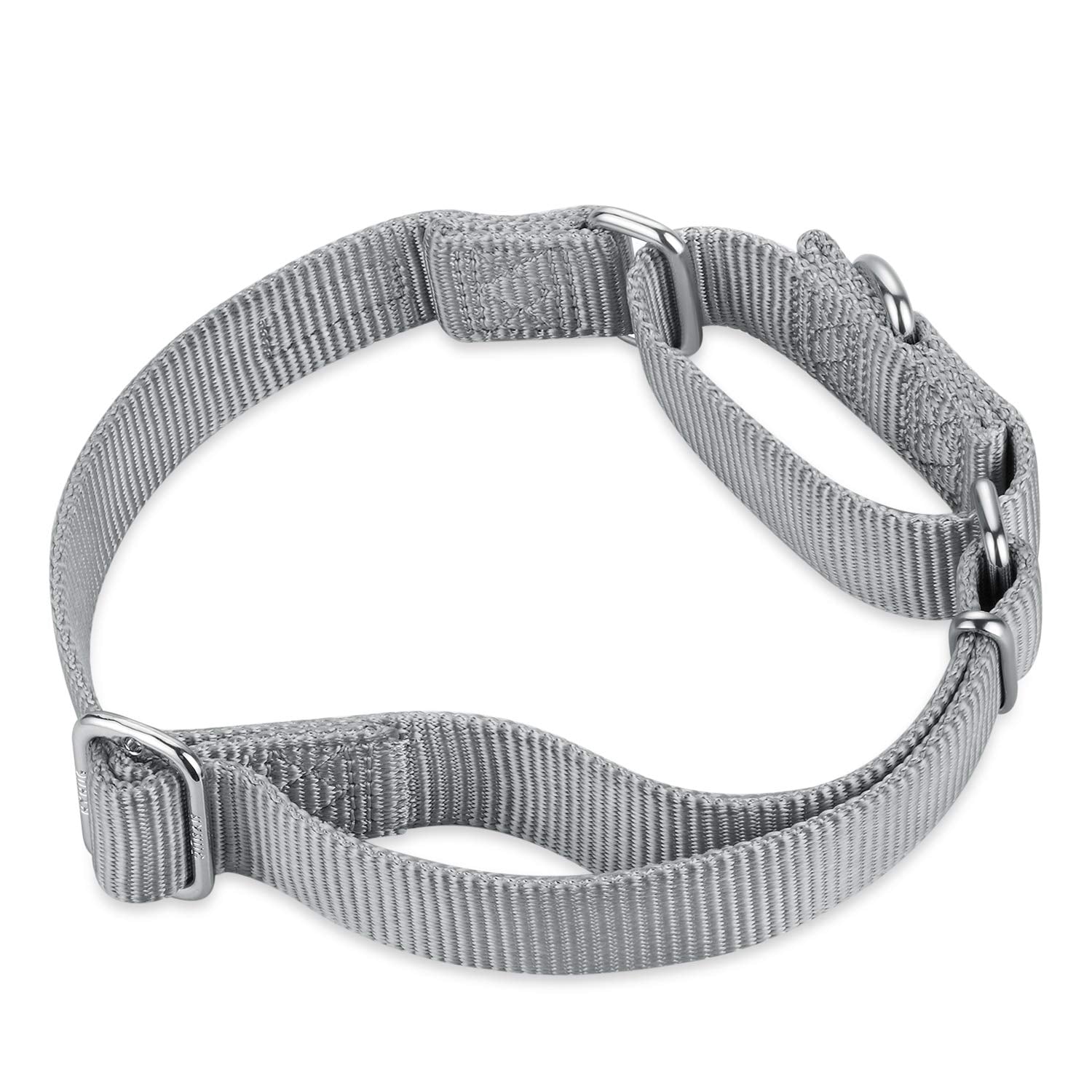Hyhug Pets Premium Upgraded Heavy Duty Nylon Anti-Escape Martingale Collar For Pup Boy And Girl Dogs Comfy And Safe - Professional Training, Daily Use Walking. (Small, Sleet Gray)