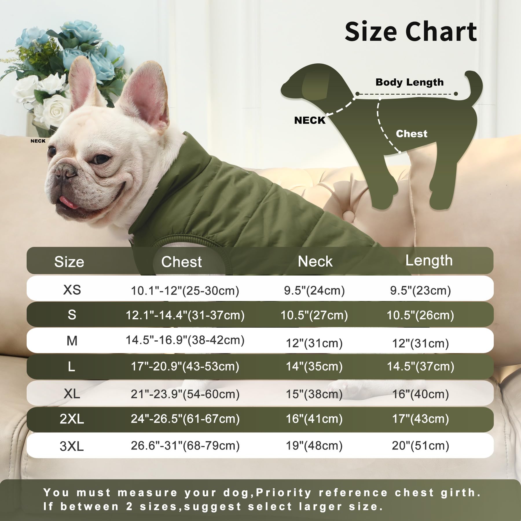 Joydaog 2 Layers Fleece Lined Warm Dog Jacket For Puppy Winter Cold Weather,Soft Windproof Small Dog Coat,Green Xs