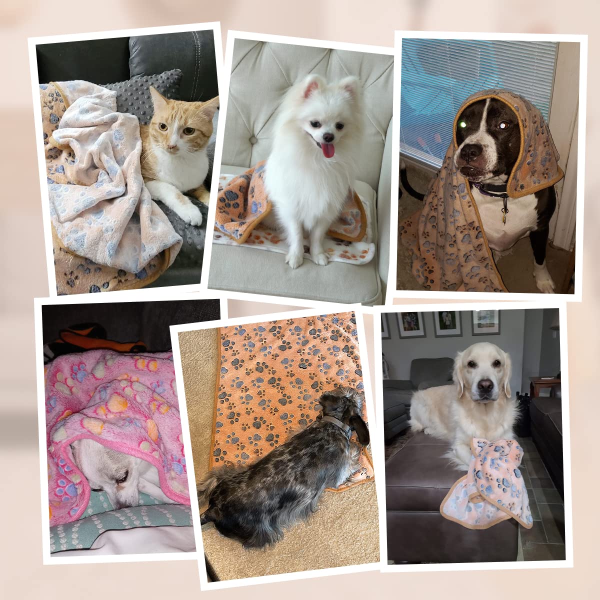 Pet Soft 1 Pack 3 Blankets Pet Blankets For Dogs - Fluffy Cats Dogs Blankets For Small Medium & Large Dogs, Cute Print Pet Throw Puppy Blankets Fleece (Paw, 3L)