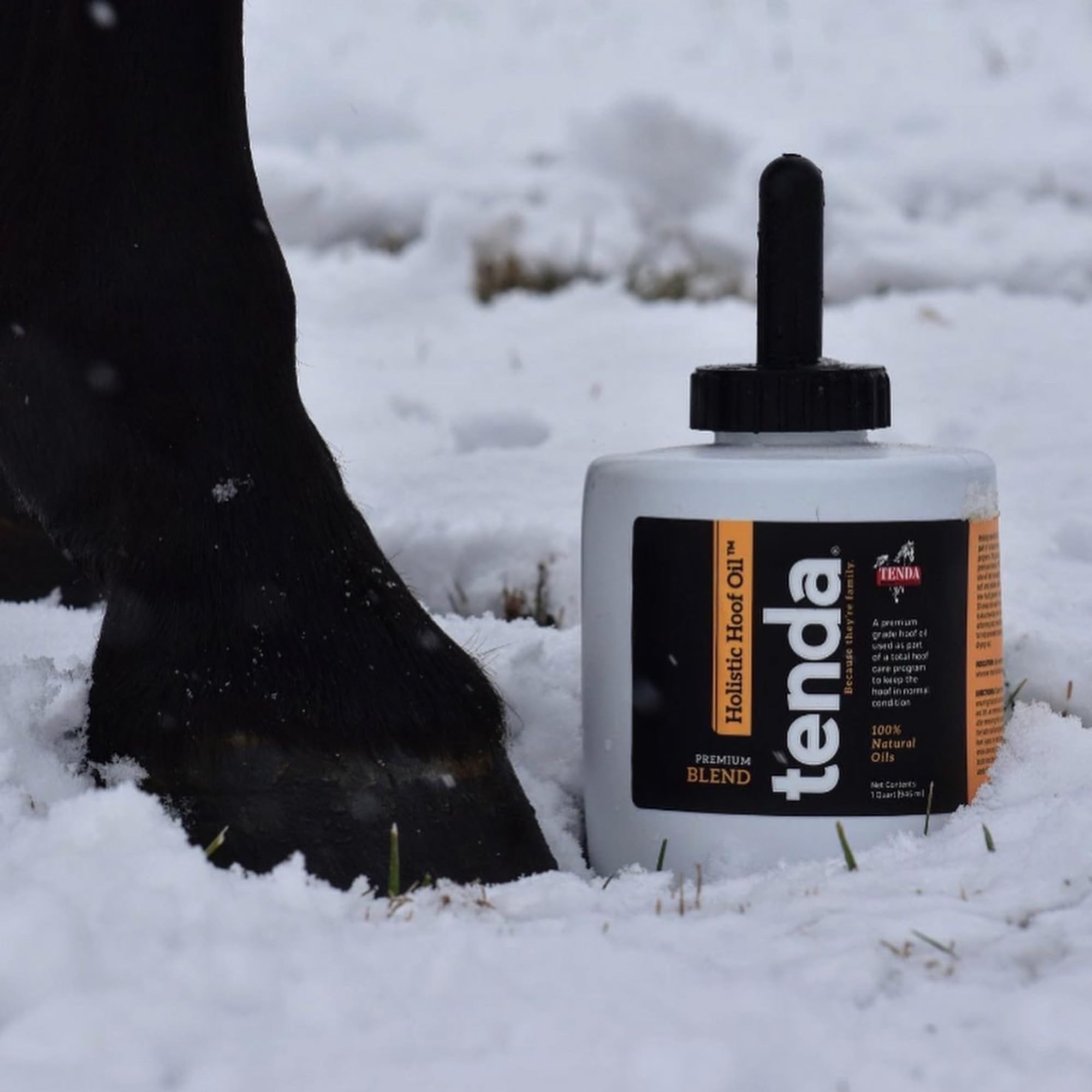 Tenda Holistic Hoof Oil 1qt