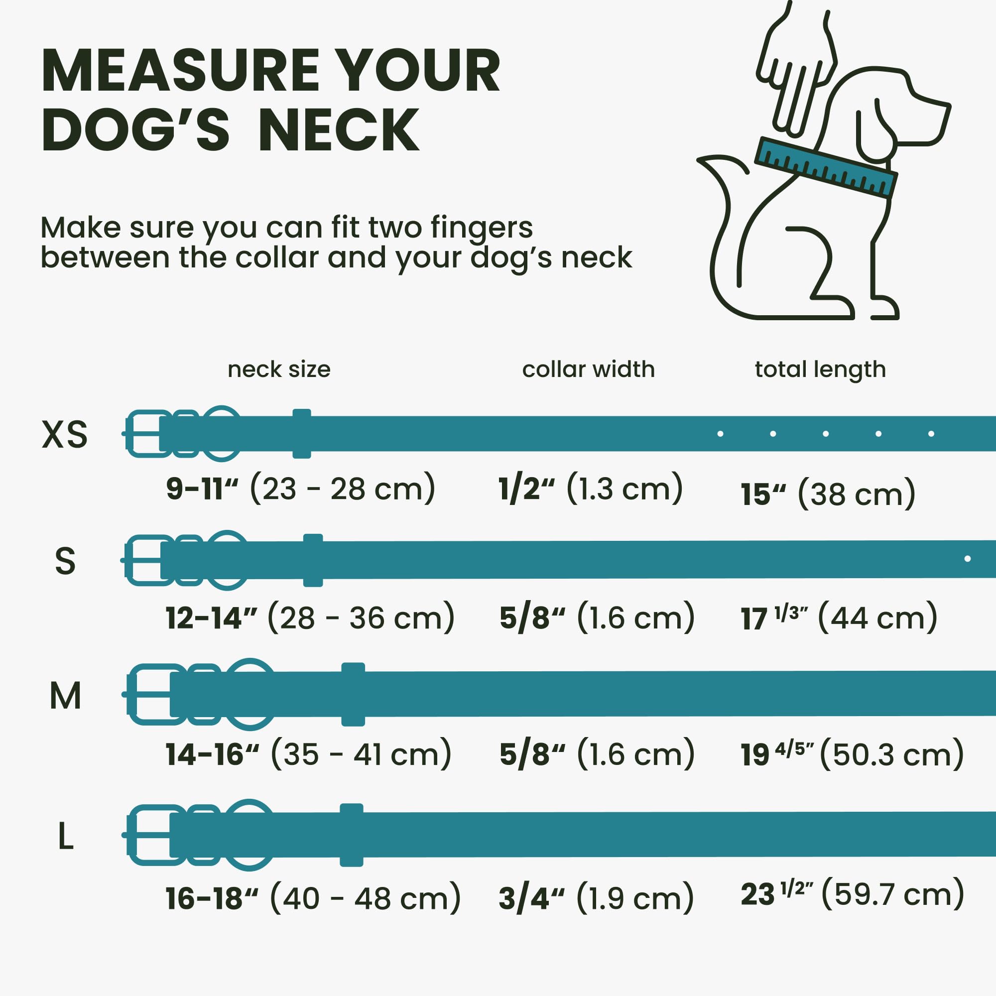 Bronzedog Rolled Leather Dog Collar For Small Medium Large Dogs With Qr Id Tag (Xs: 9-11 Inch, Teal)