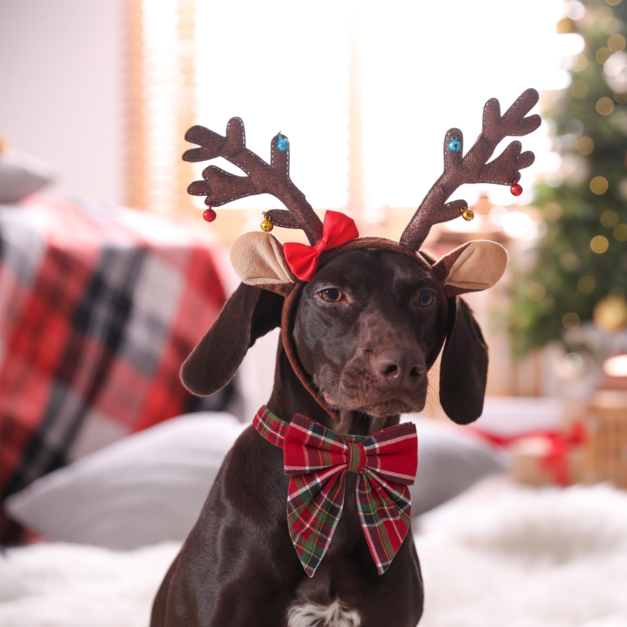 Adoggygo Christmas Dog Collar With Bow, Adjustable Cotton Red Green Plaid Bowtie Dog Christmas Collars For Small Medium Large Dogs Pets (Medium, Xmas)
