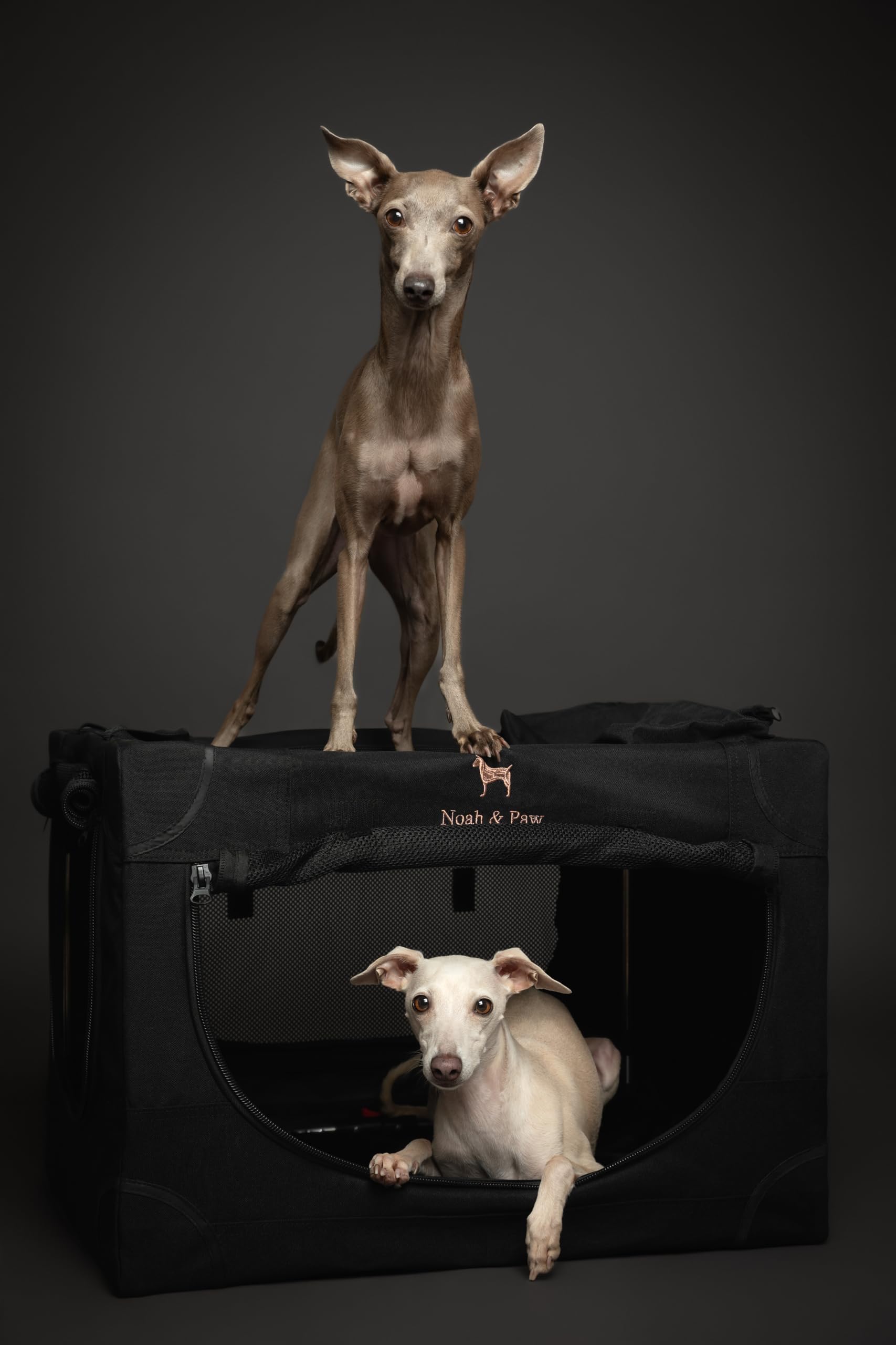 Noah & Paw Collapsible Dog Crate 26 Inch, Small Dog Crate for Small Medium Breeds, Travel Kennel for Car, Including Pet Mat for