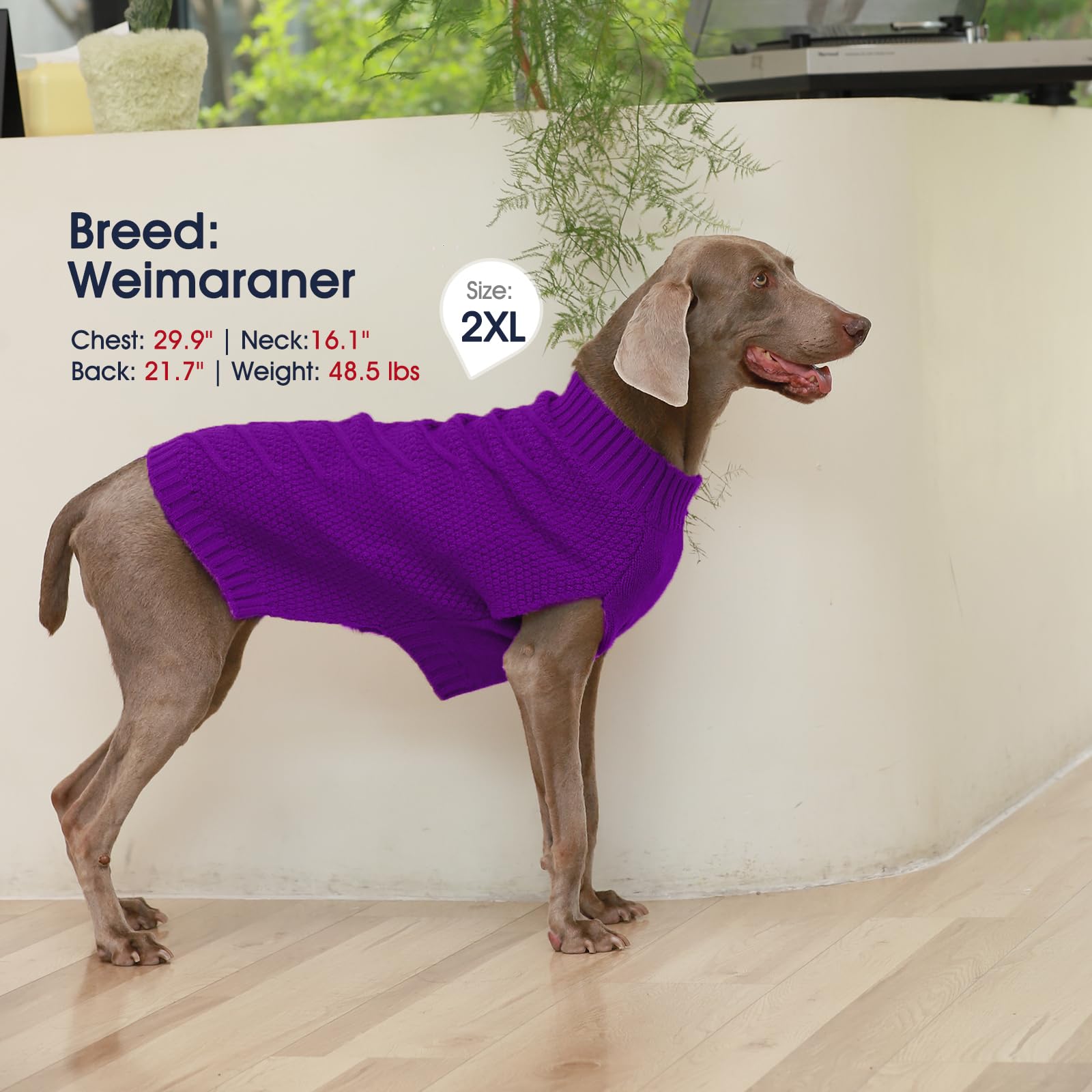 Iecoii Dog Sweater - Warm Sleeveless Pullover For Large Dogs, Purple - Winter & Fall Coat For French Bulldog