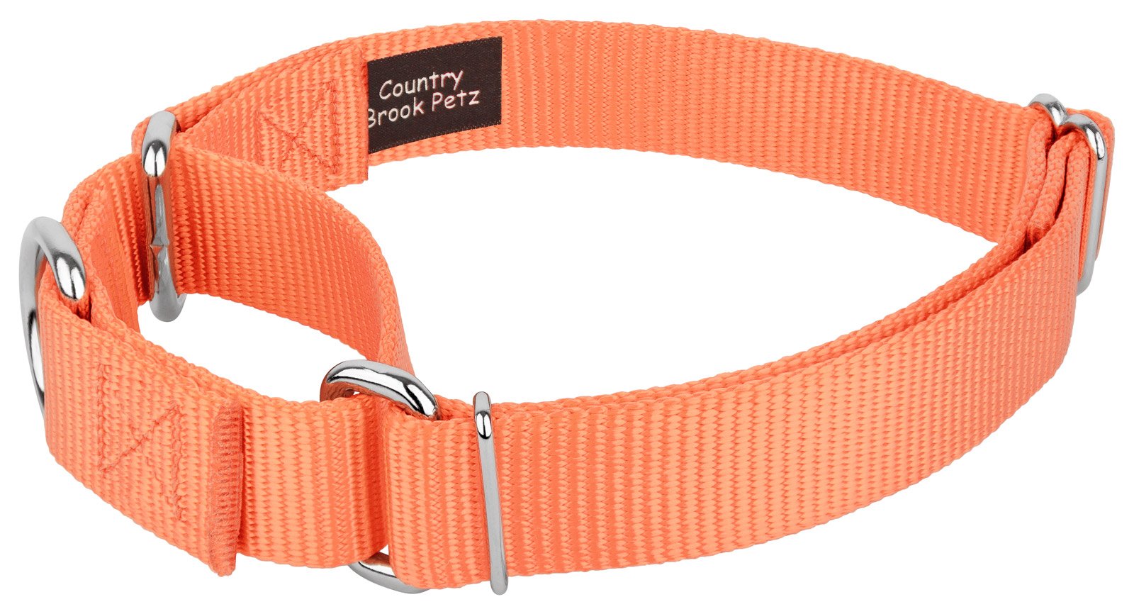 Country Brook Petz - Mango Martingale Heavy Duty Nylon Dog Collar - 21 Vibrant Color Options (1 Inch Width, Extra Large)
