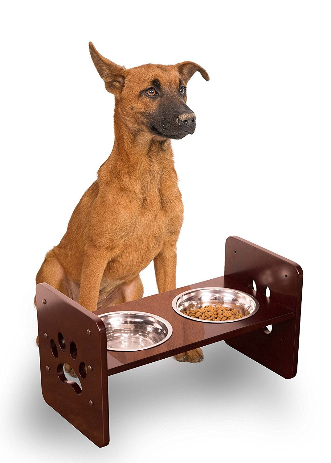Adjustable Pet Feeder