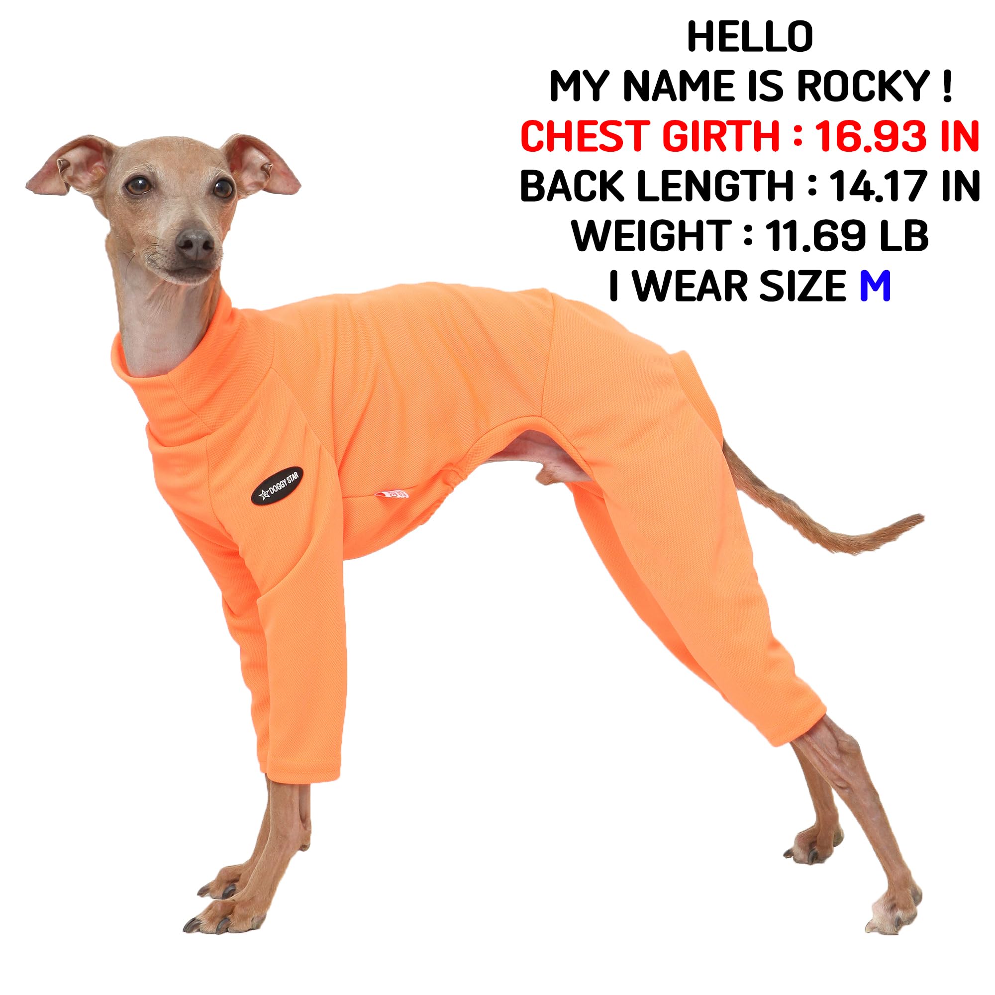 D Doggy Star Italian Greyhound Clothes Strechy Neon Onsie Spring Summer (Xl,Onsi Ne Orange)