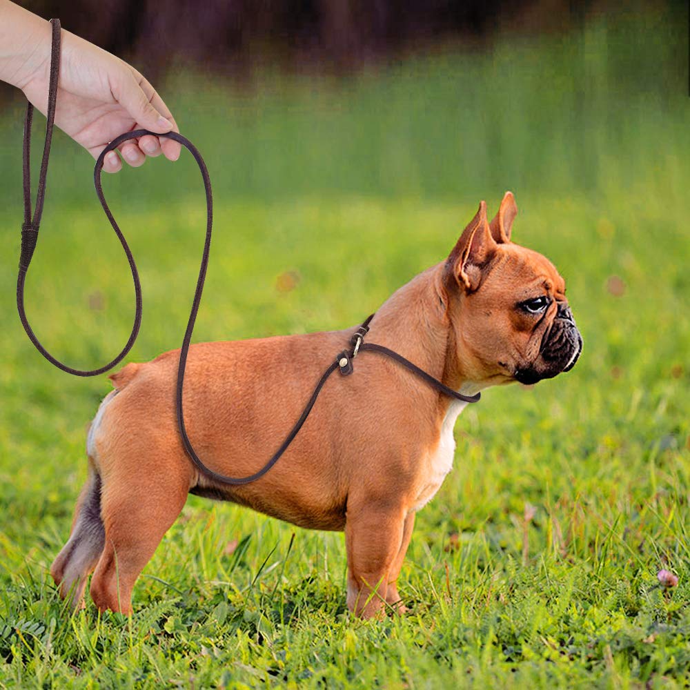 Real Leather Slip Dog Leash For Small Medium Dogs Lightweight Thin But Sturdy Adjustable Slip Lead Dog Leash Soft And Slim 5 Ft X 1/5 Inch