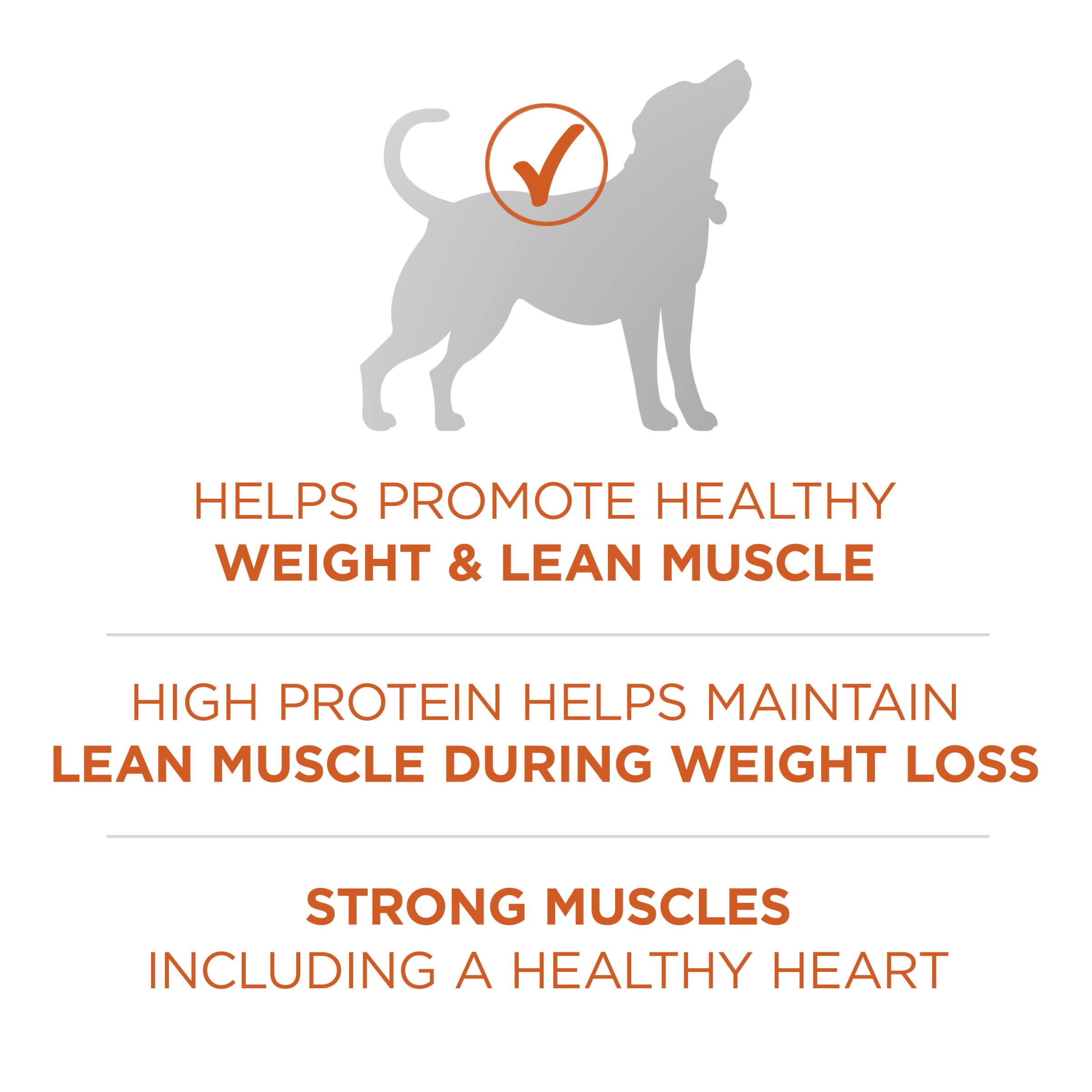 Purina ONE Plus Healthy Weight High-Protein Dog Food Dry Formula - 31.1 lb. Bag
