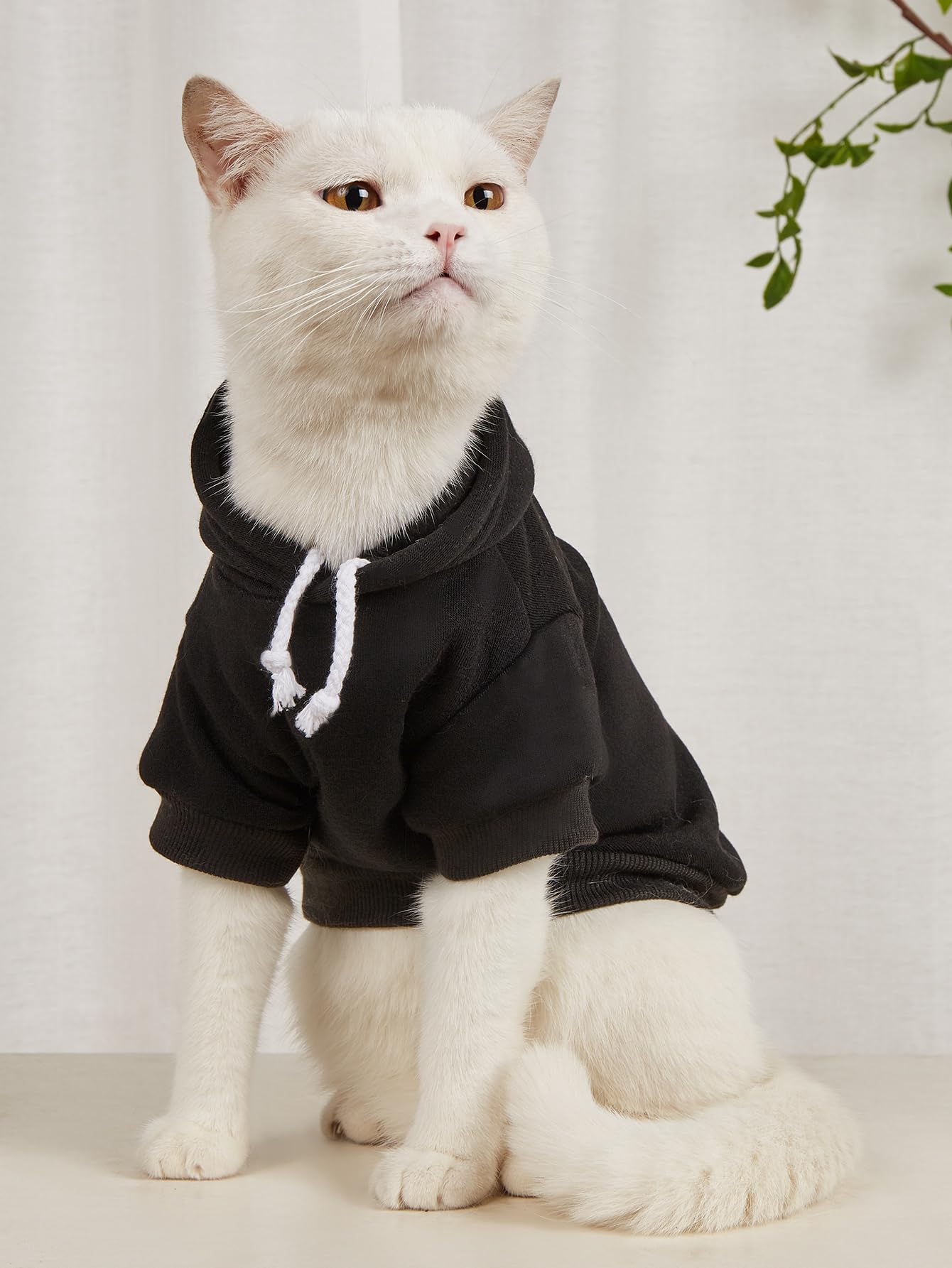 Qwinee 2Pcs Basic Dog Hoodie, Dog Warm Jacket, Cat Apparel, Dog Shirt, Dog Clothes For Puppy Kitten Small Medium Dogs Cats Multi