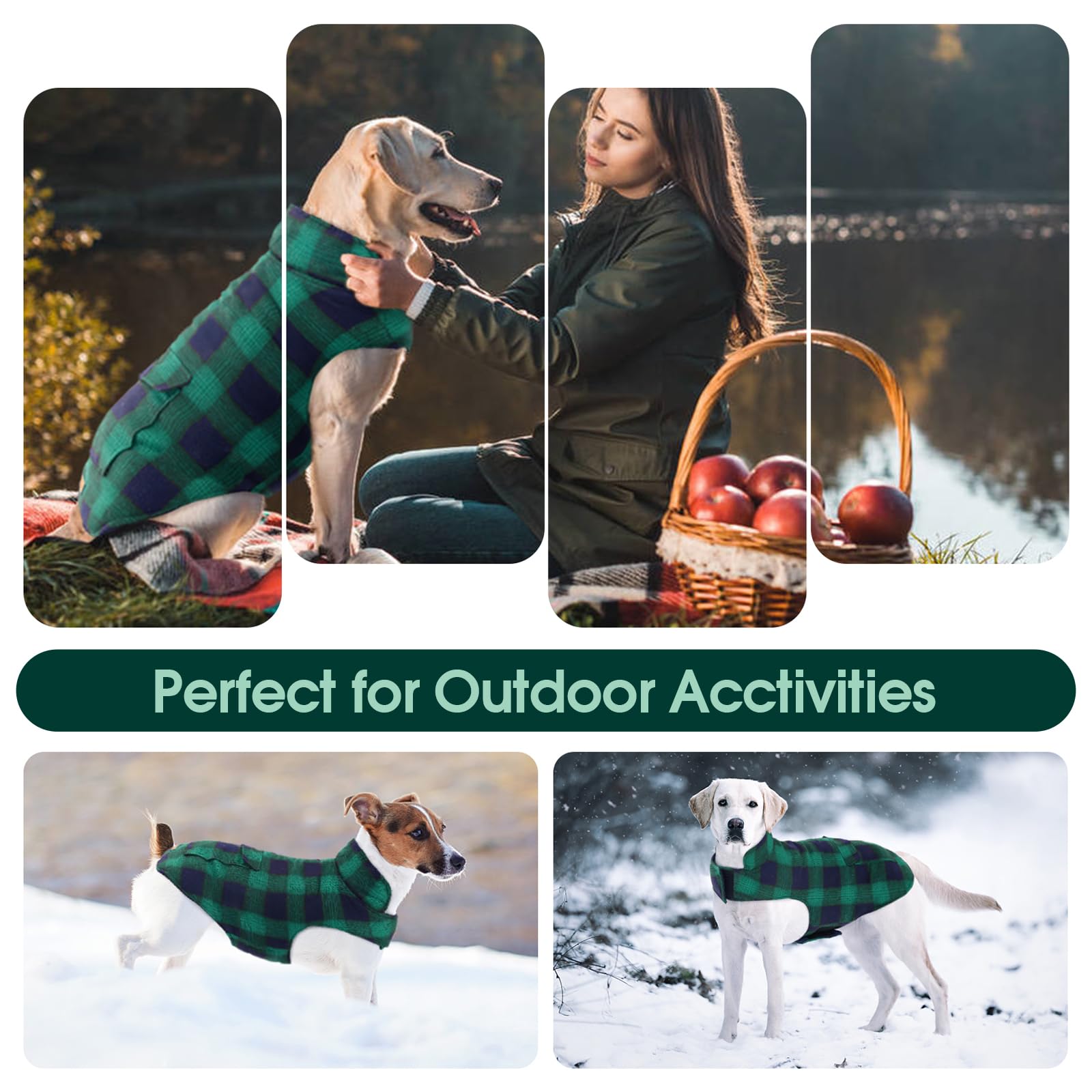 Kuoser Reversible Dog Jacket, Warm Winter Coat For Small Medium & Large Dogs - British Style, Windproof, Green, Xl
