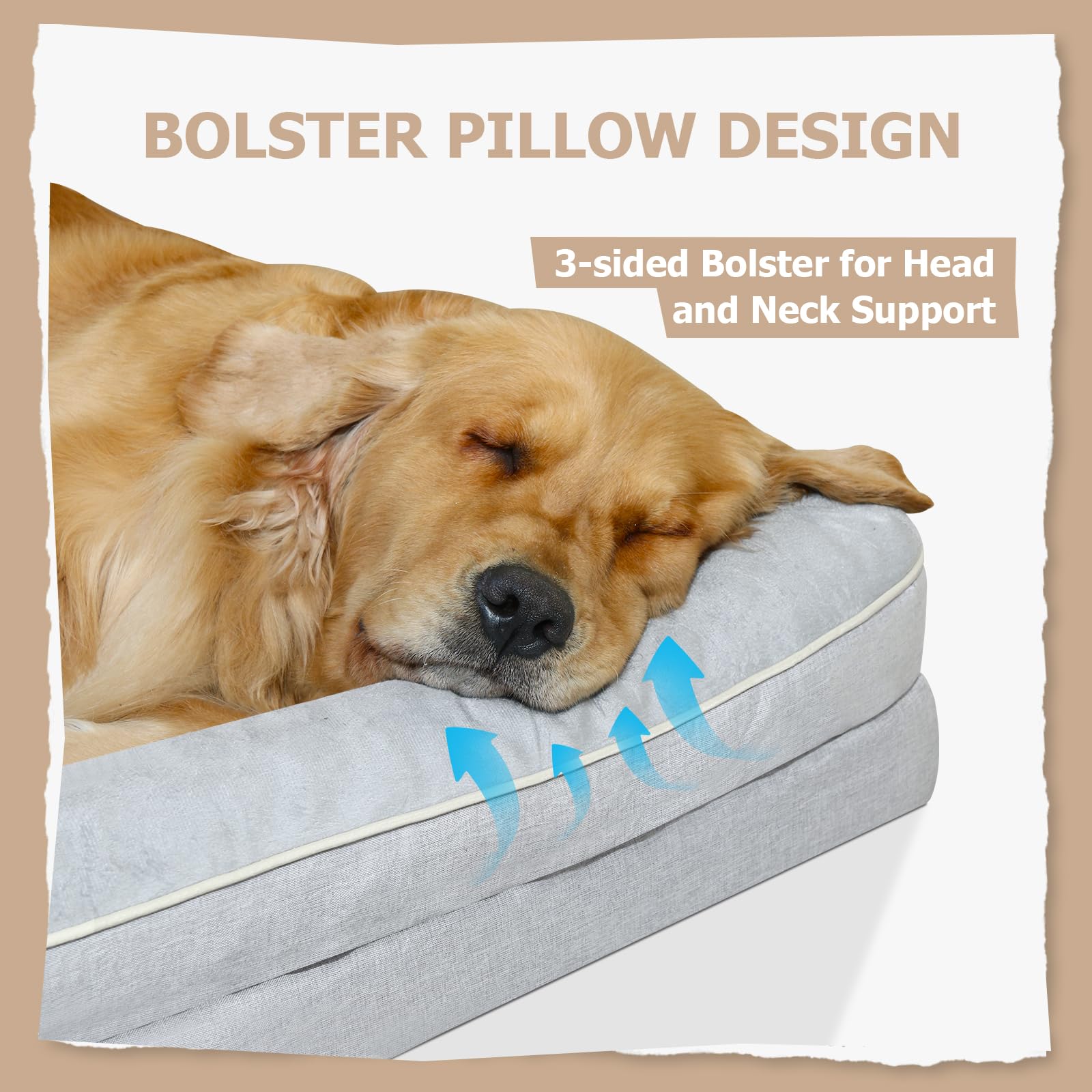 Dokdogs Orthopedic Dog Bed Medium Size Dogs - Waterproof Memory Foam Pet Bed With Removable Washable Cover, Non-Slip Medium Dog