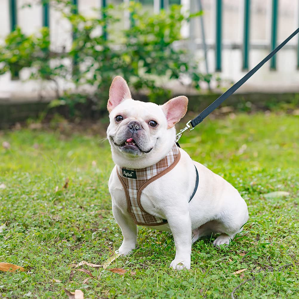 Pupteck Soft Mesh Dog Harness And Leash Set Pet Puppy Cat Comfort Padded Vest No Pull Harnesses, Brown, M