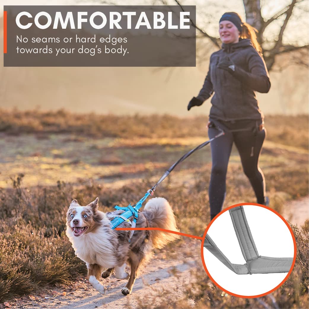 Non-Stop Dogwear Freemotion Harness 5.0 Dog Pulling Harness For Sports Like Running, Biking And Skiing With Dogs, Professional Adjustable Dog Harness, Orange/Black, Size 7