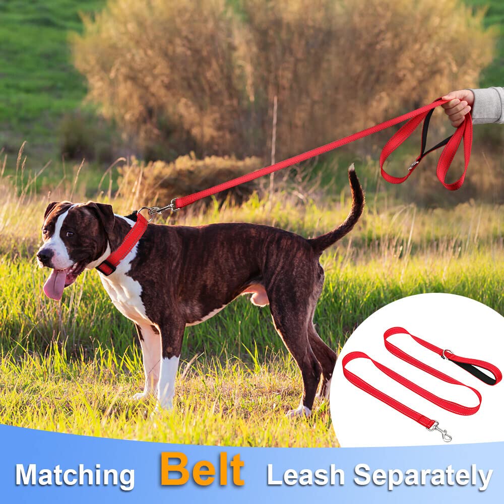 Taglory Reflective Adjustable Dog Collars For Puppy Small Medium Large Dogs, Thin Nylon Webbing And Quick Release Plastic Buckle(Red,Large)