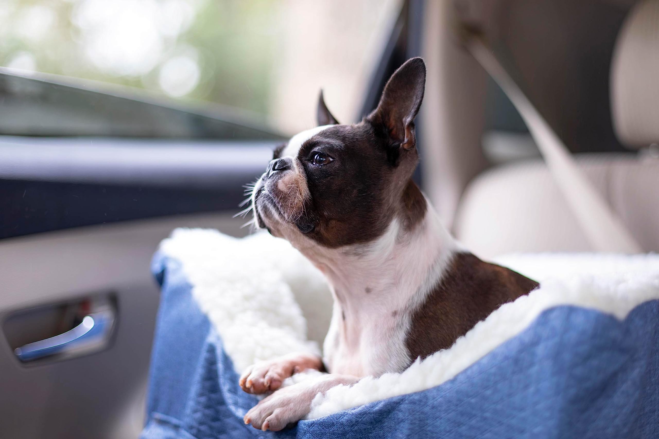 Snoozer Lookout II Dog Car Seat for Small Dogs 0-15 lbs, Denim Diamond Fabric, Removable Washable Cover