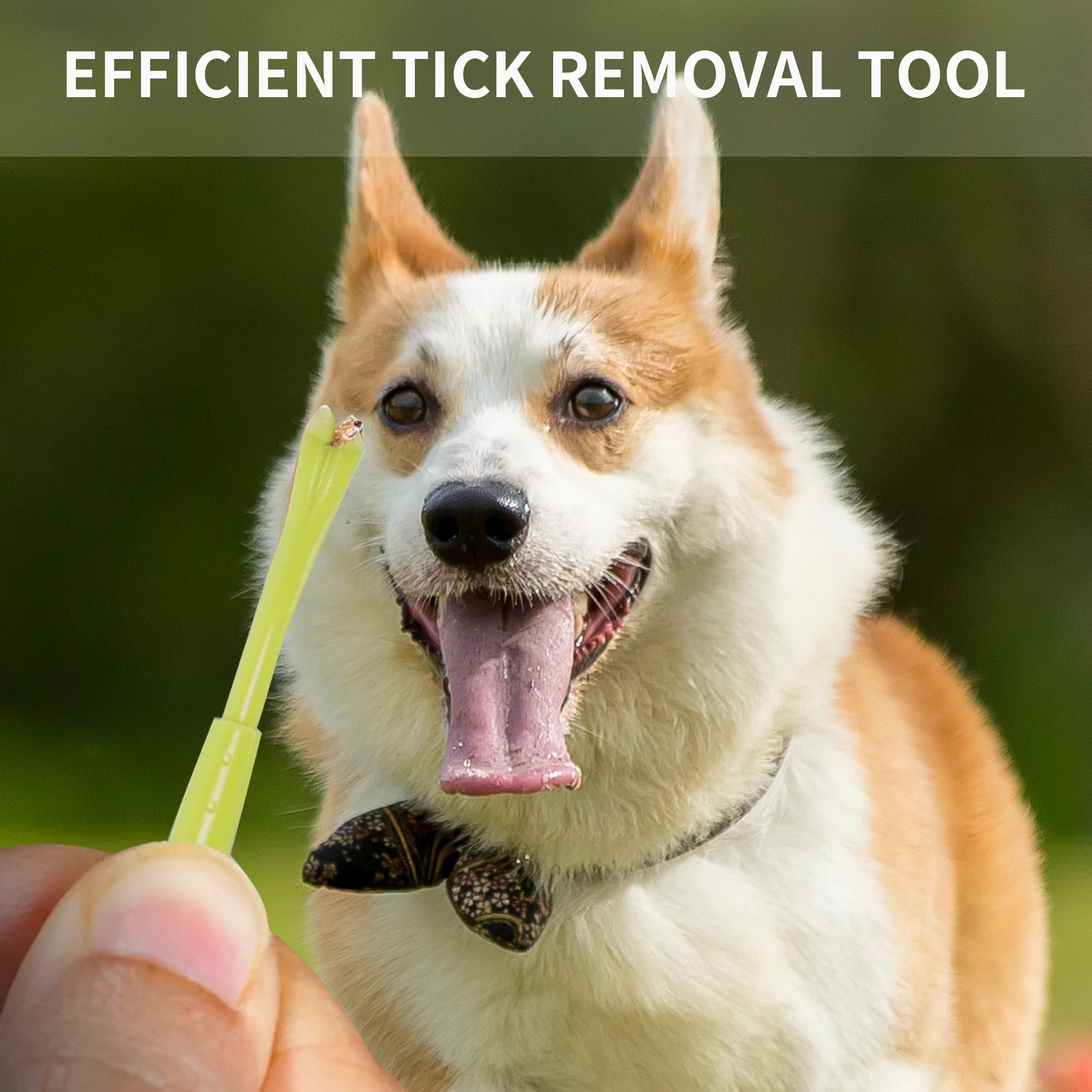 Yogini Tick Removal Tool For Dogs Cats And Humans 16 Packs,Pain Free Tick Puller,Ultra-Safe Tick Tweezers With Small And Large (